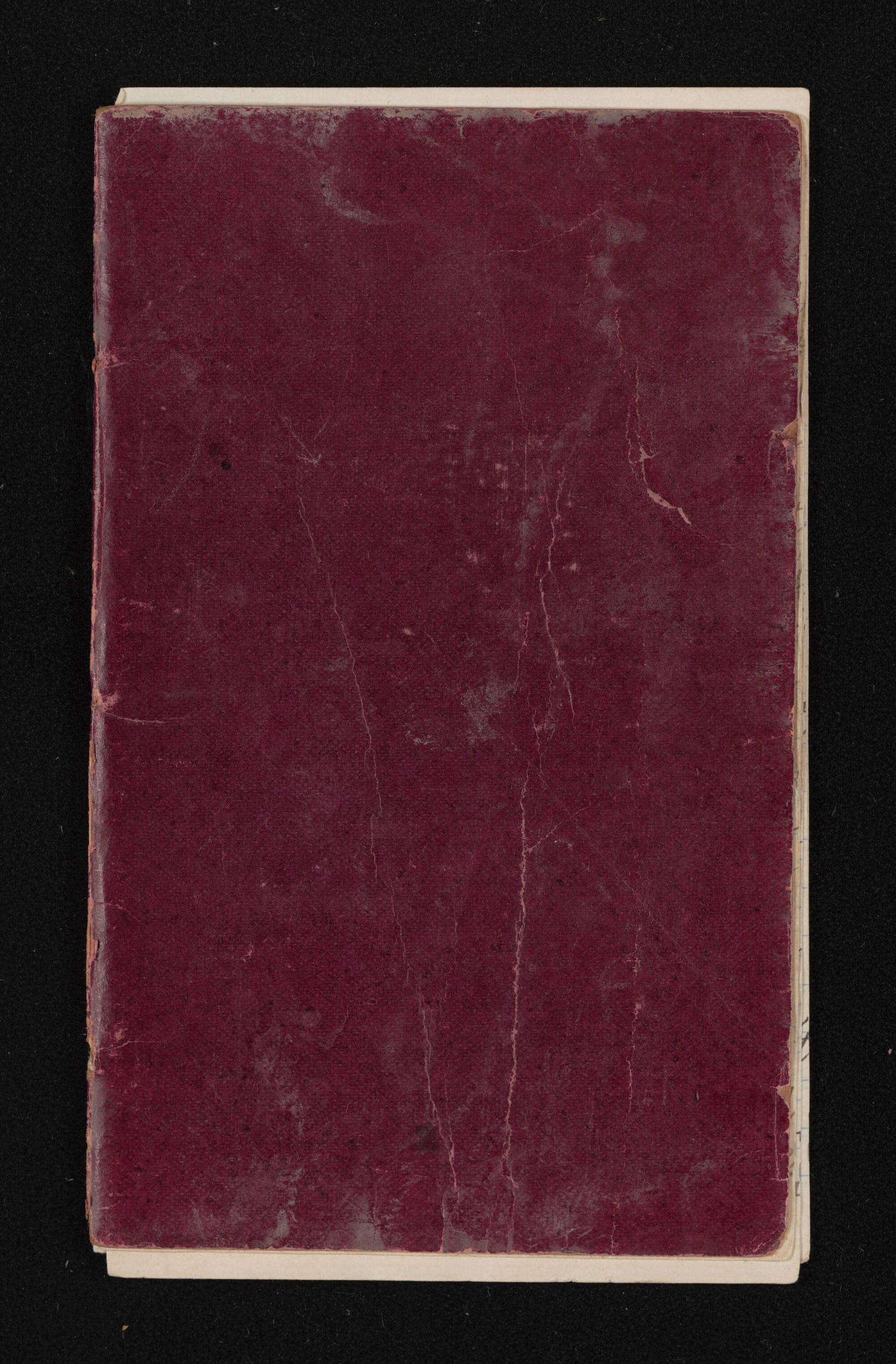A boy's diary (4)'