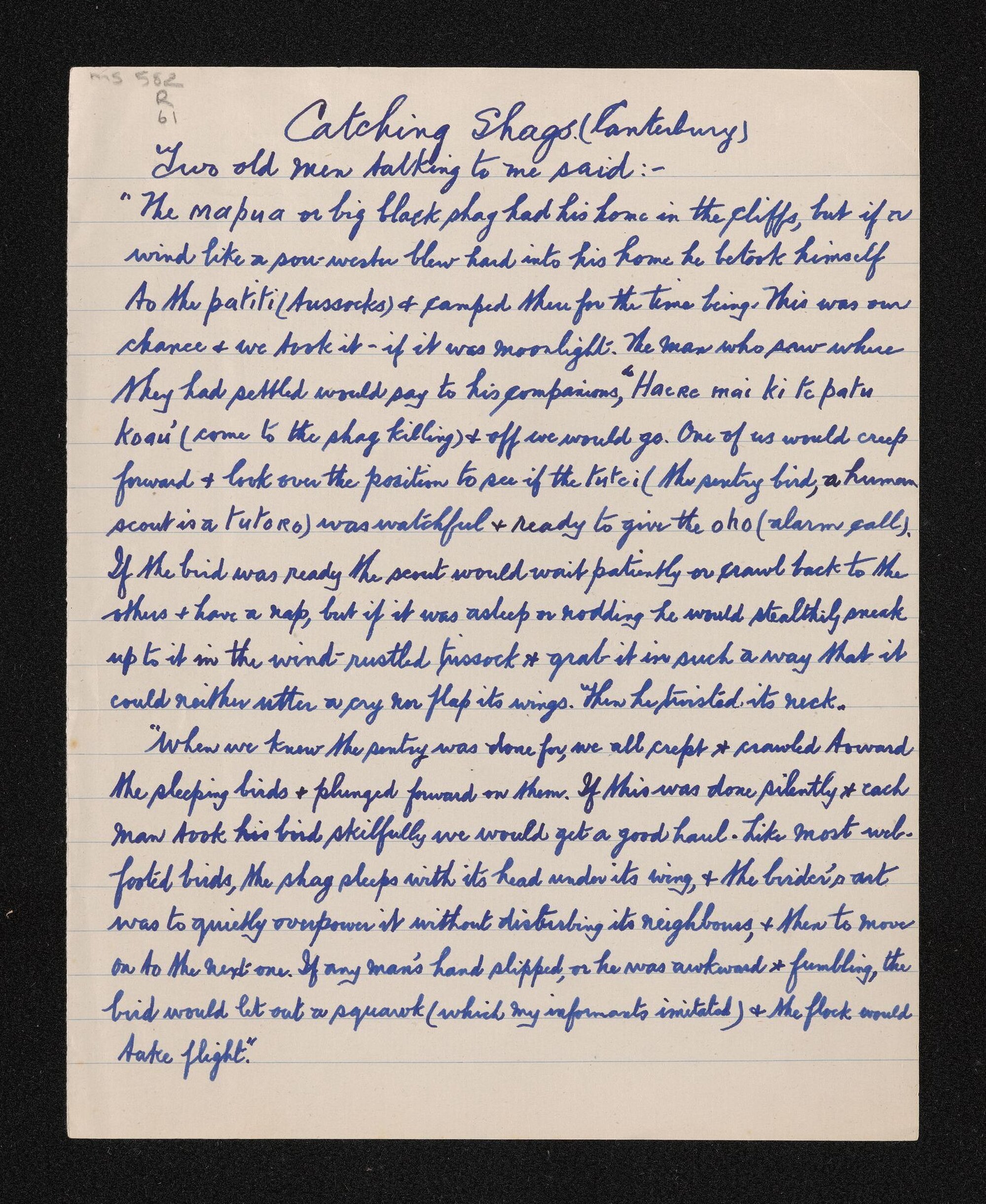 Notes entitled 'Catching shags (Canterbury)' recorded by Herries Beattie