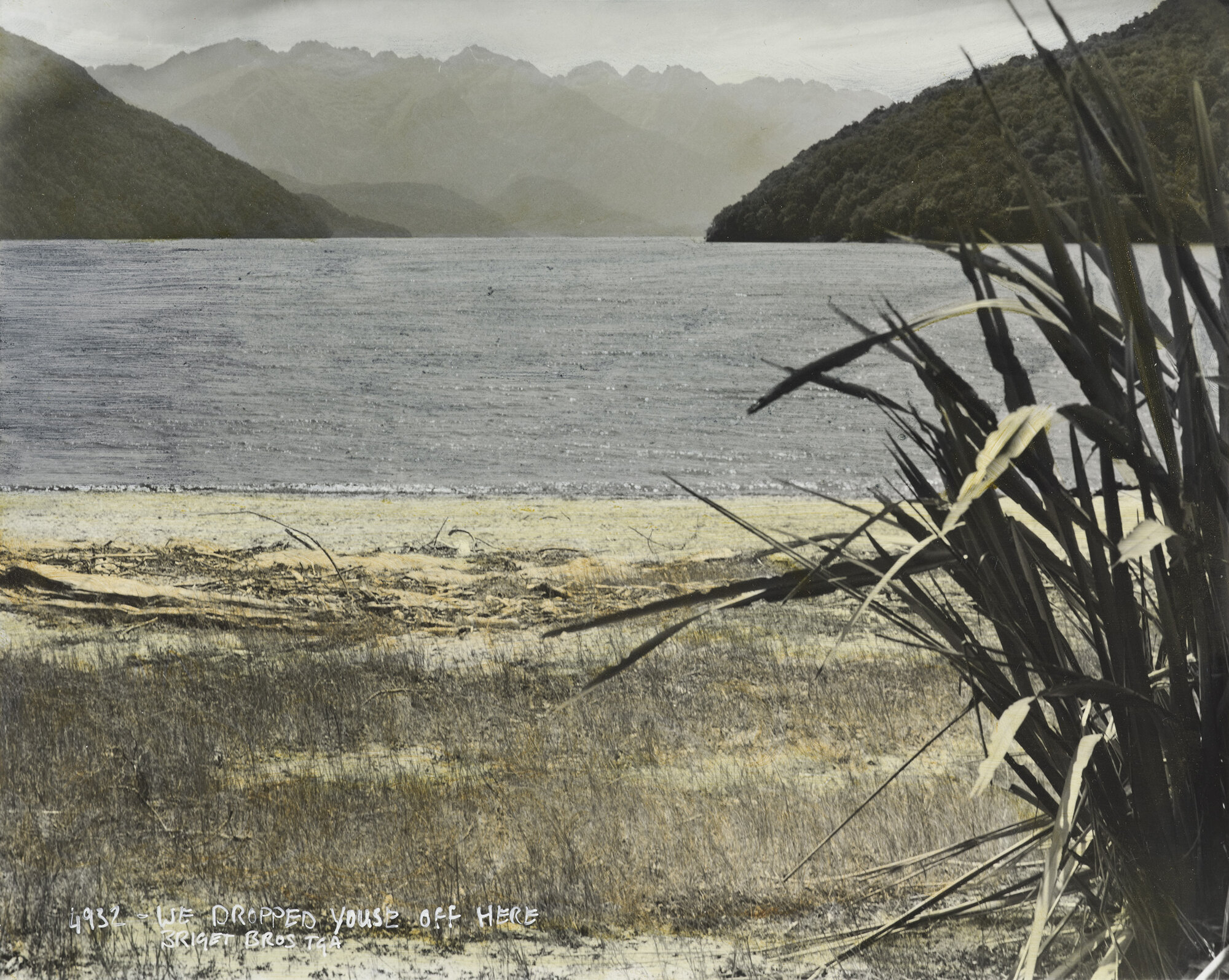 4932 We dropped youse off here (for Nic)