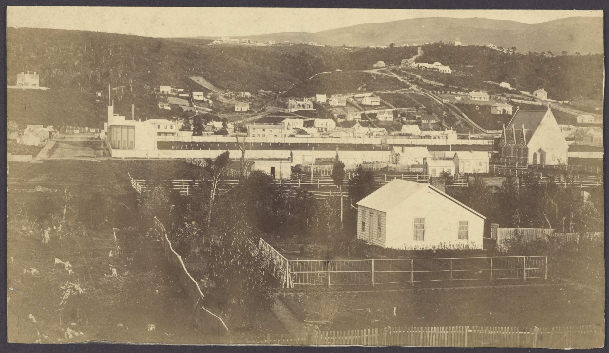 North Dunedin