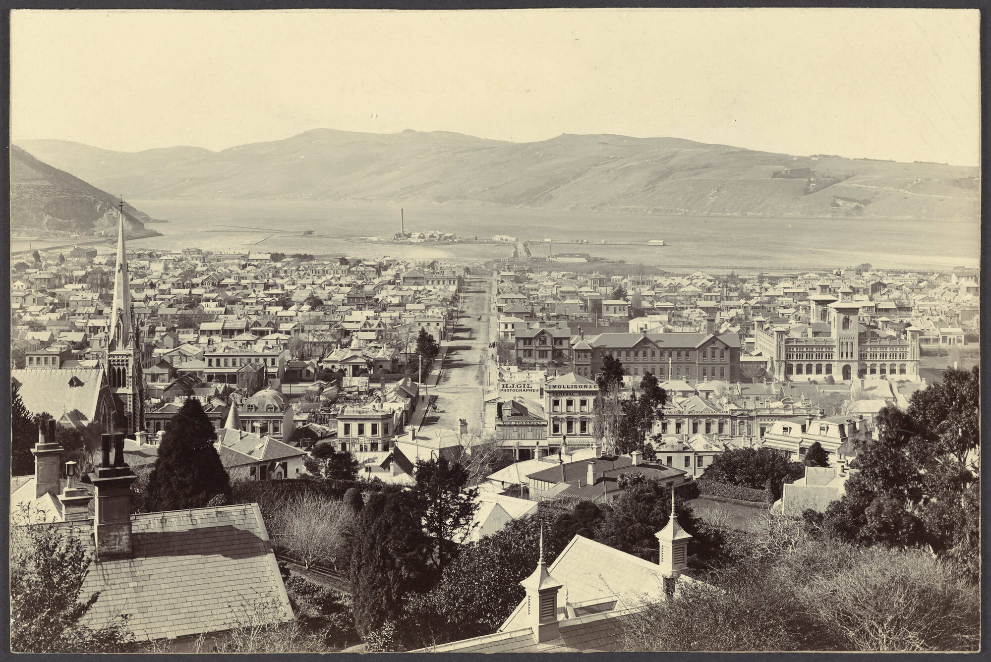 North Dunedin