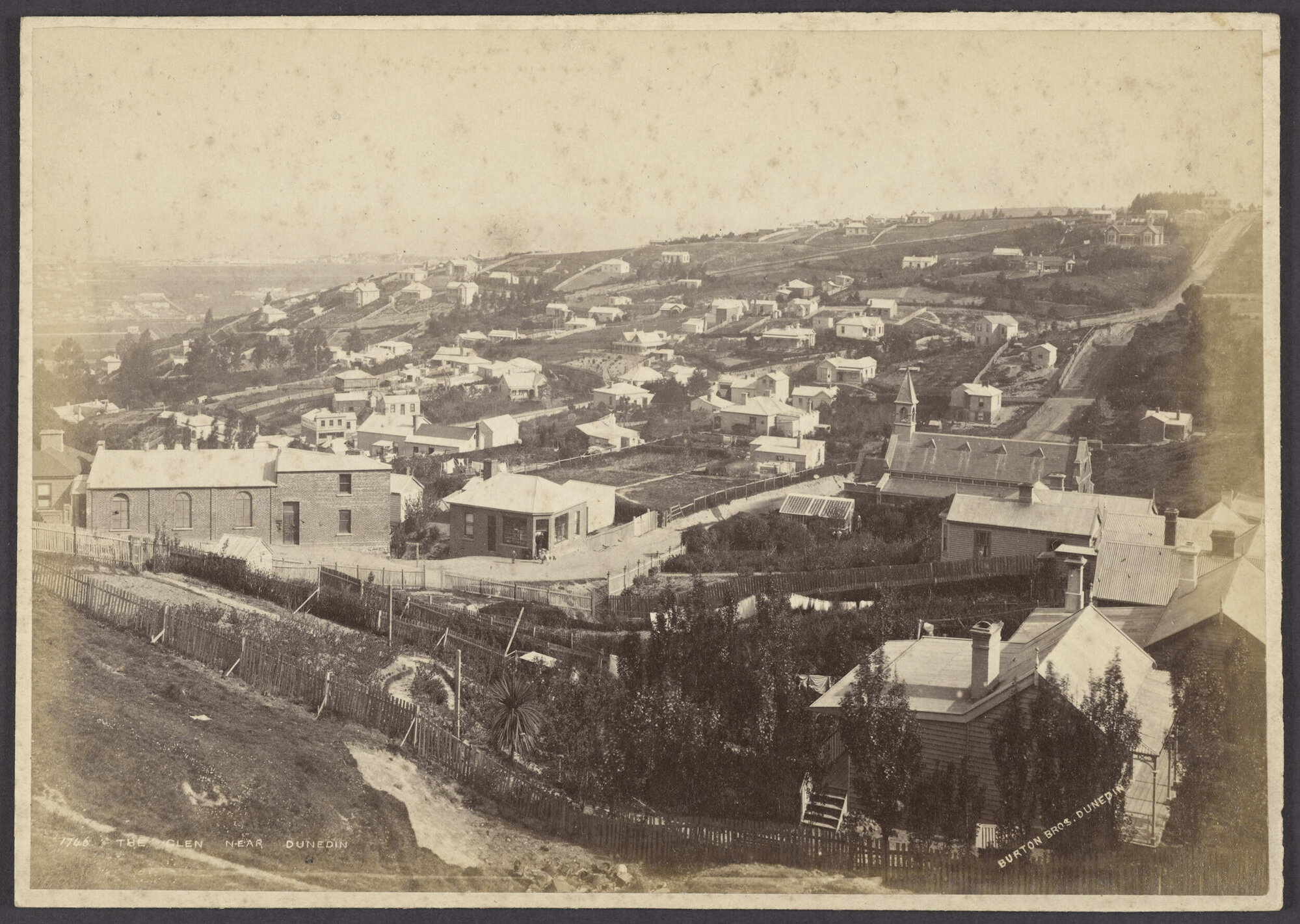 The Glen near Dunedin