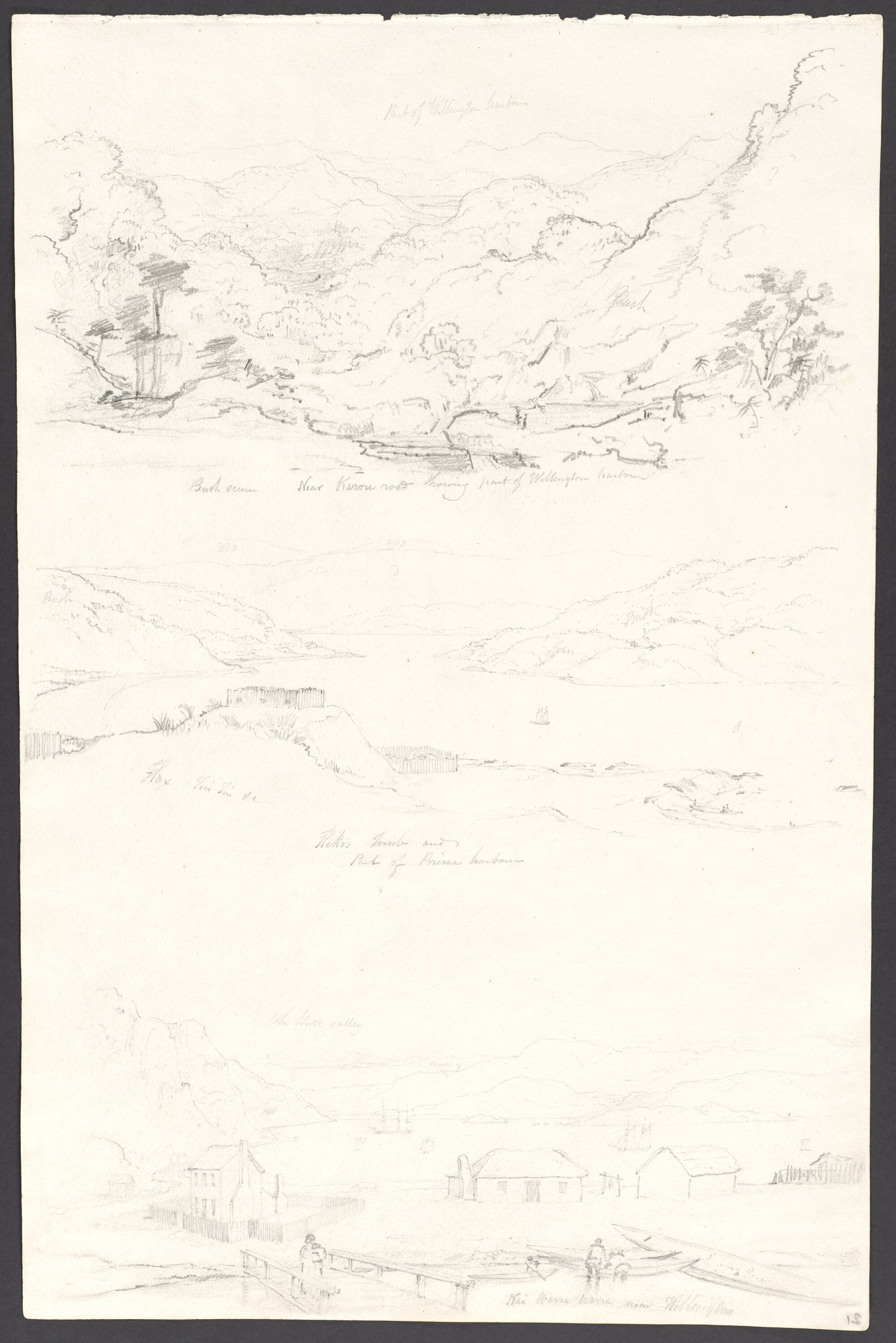 Bush scene near Karori road showing part of Wellington harbour. Hiko&rsquo;s Tomb and part of Poirua harbour. The Hutt Valley, Kaiwarawara near Wellington