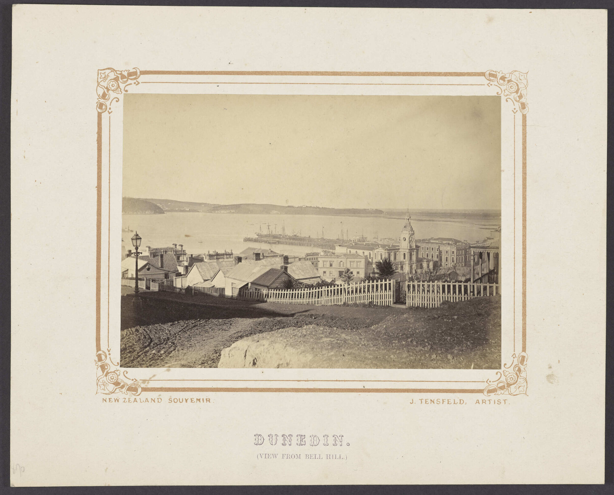 Dunedin. (View from Bell Hill)