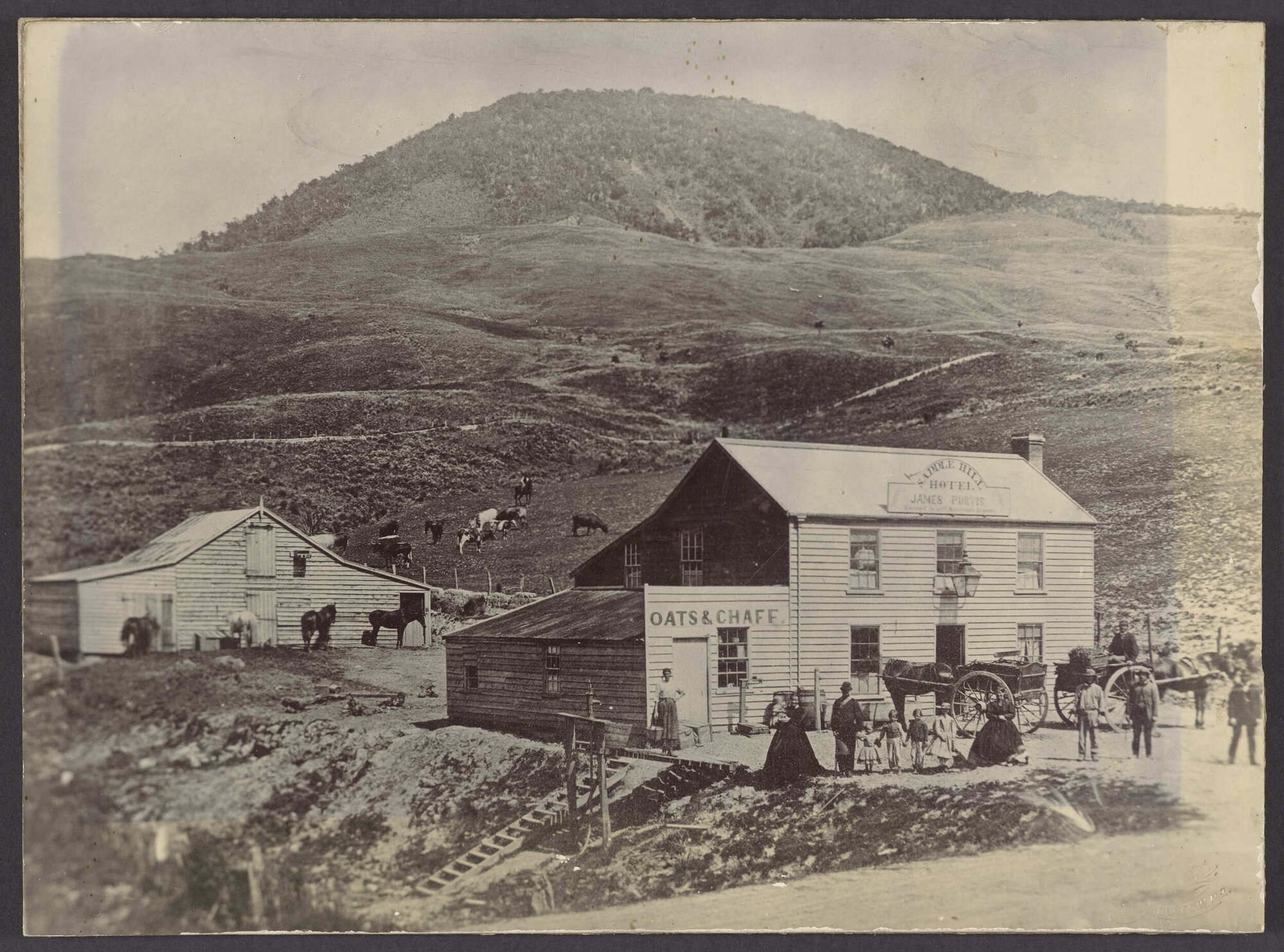 Saddle Hill Hotel