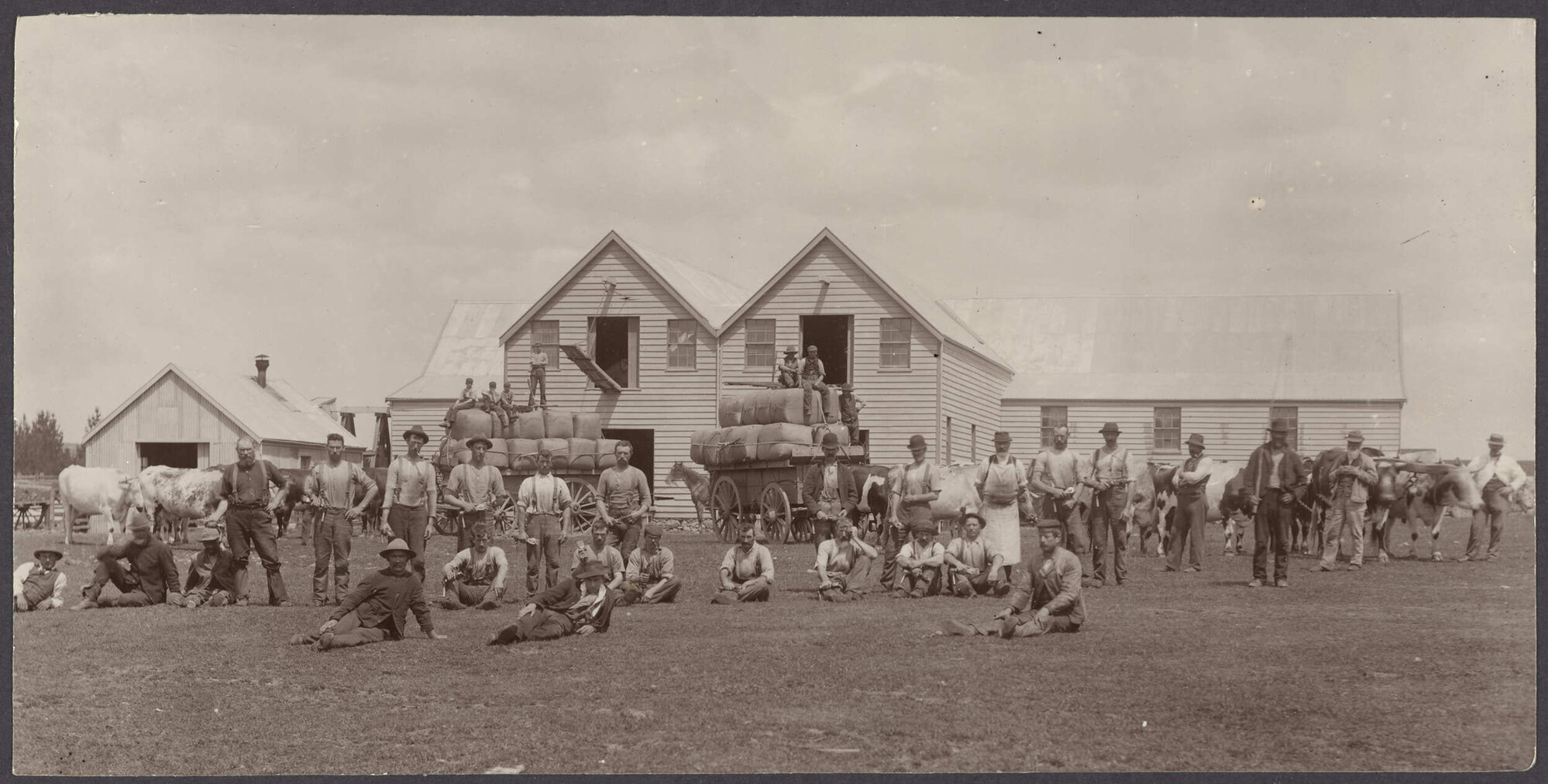 Shearing gang at Greenfield Estate, South Otago