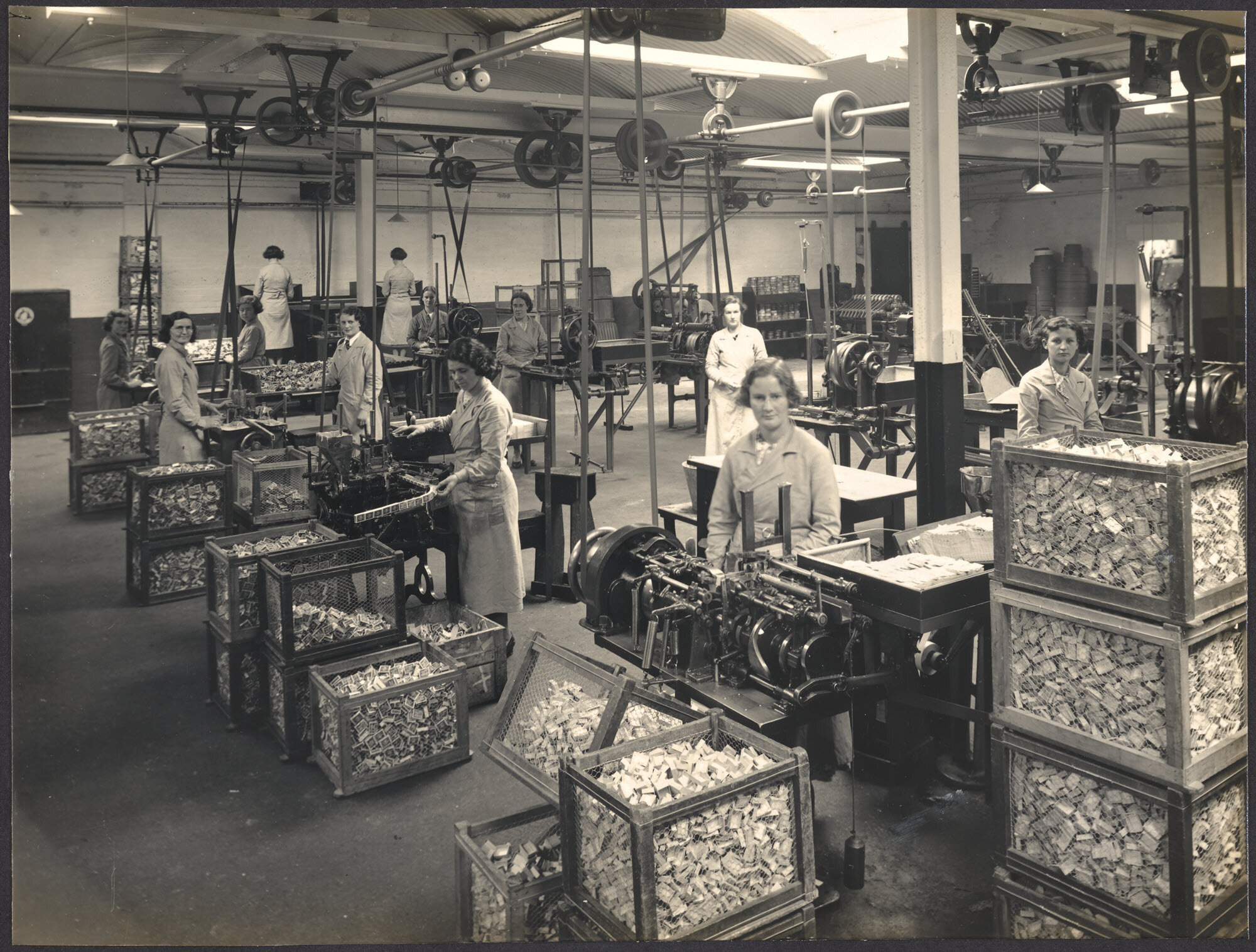 'Vestette' Box Plant in foreground and 'Plaid' Box Machinery in rear
