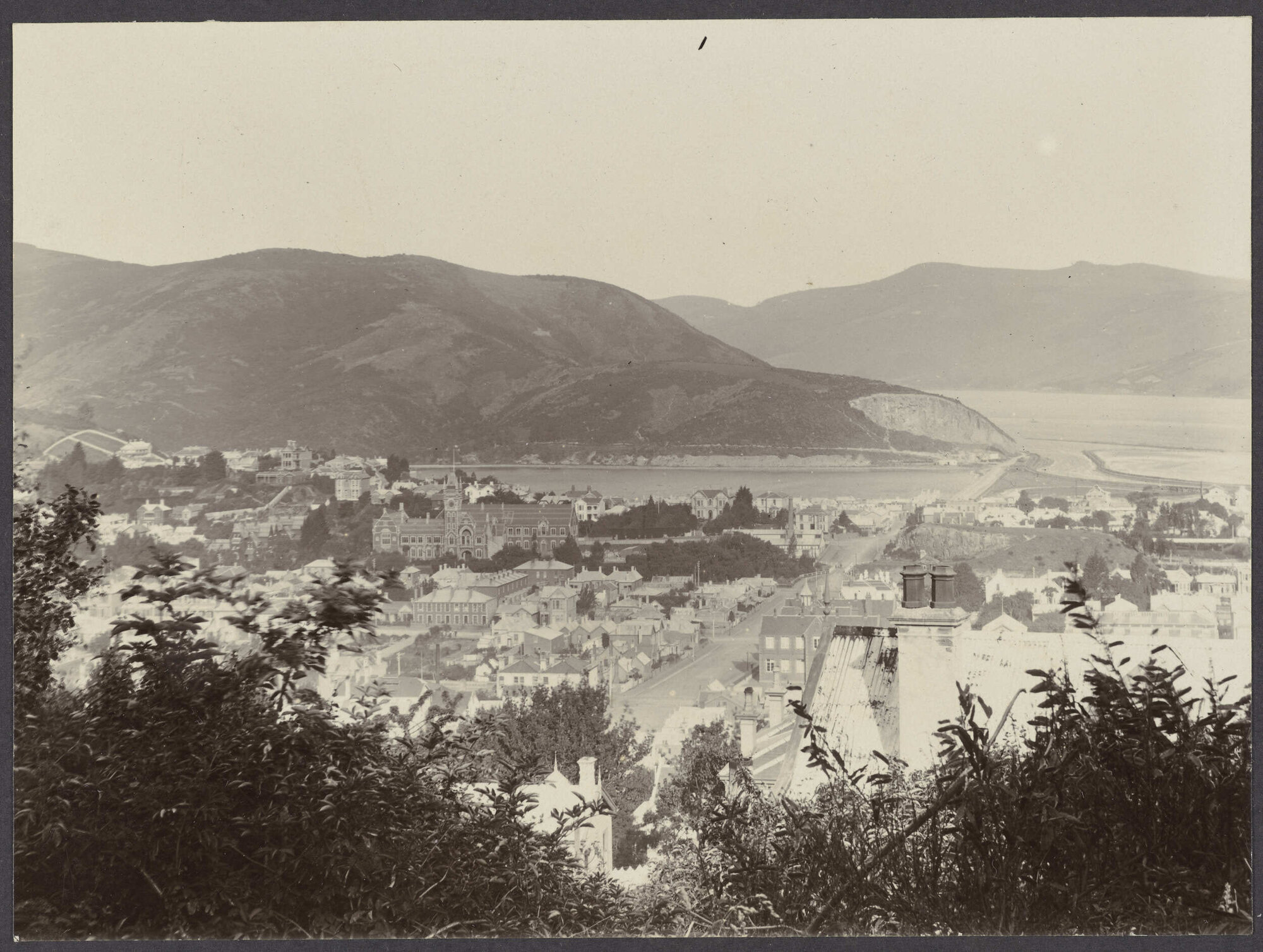 North Dunedin