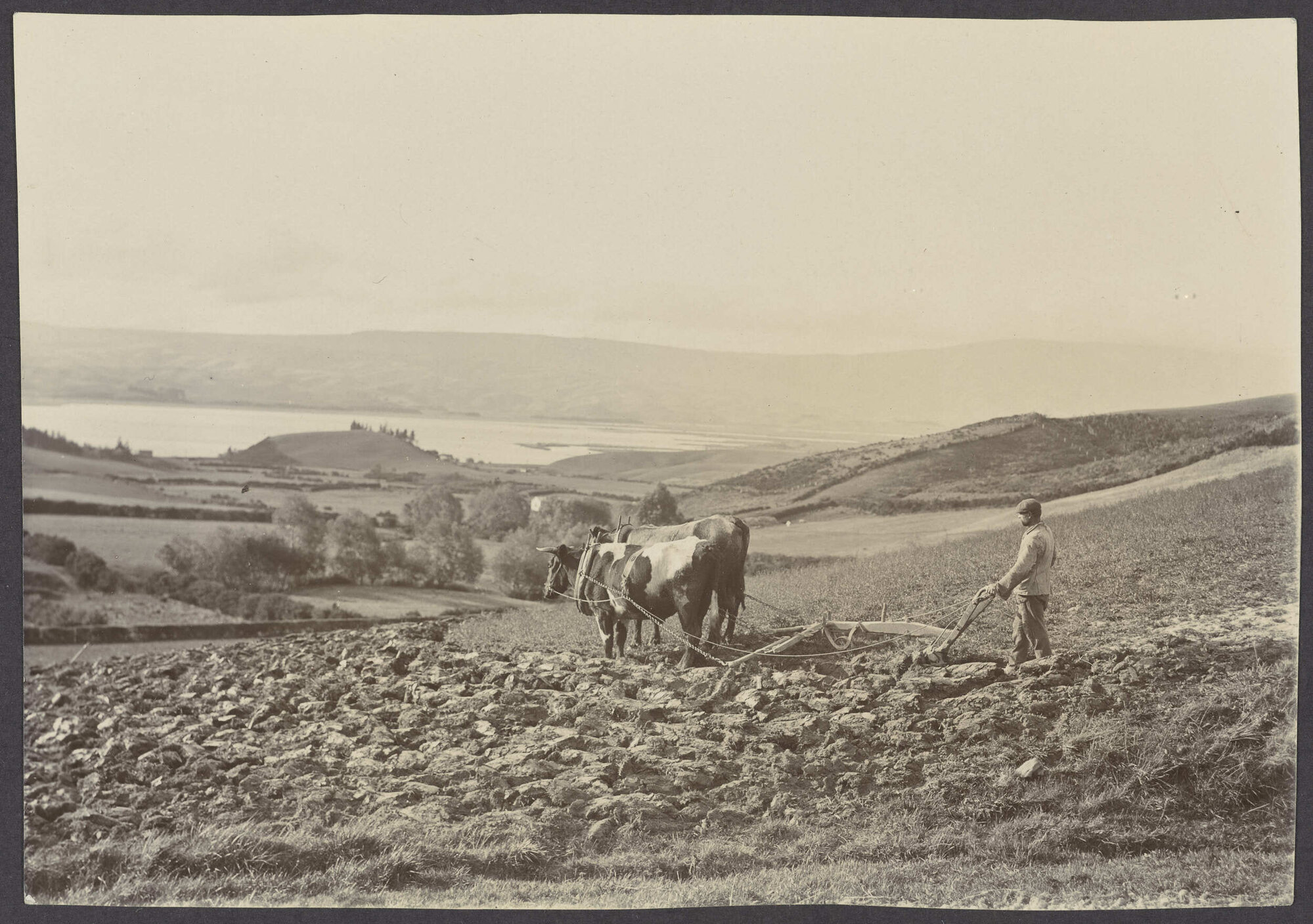 Ploughing at Waihola