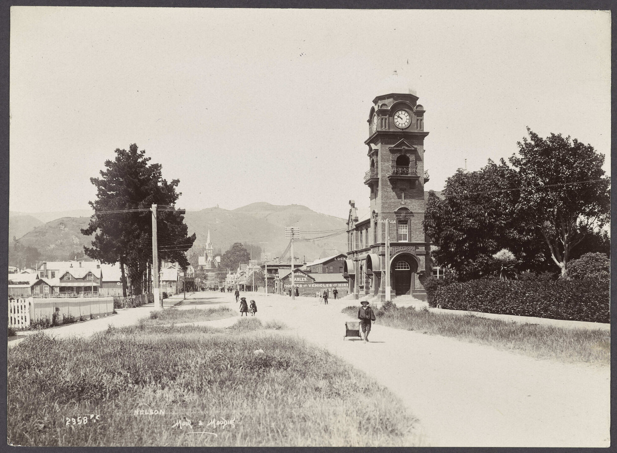 Nelson