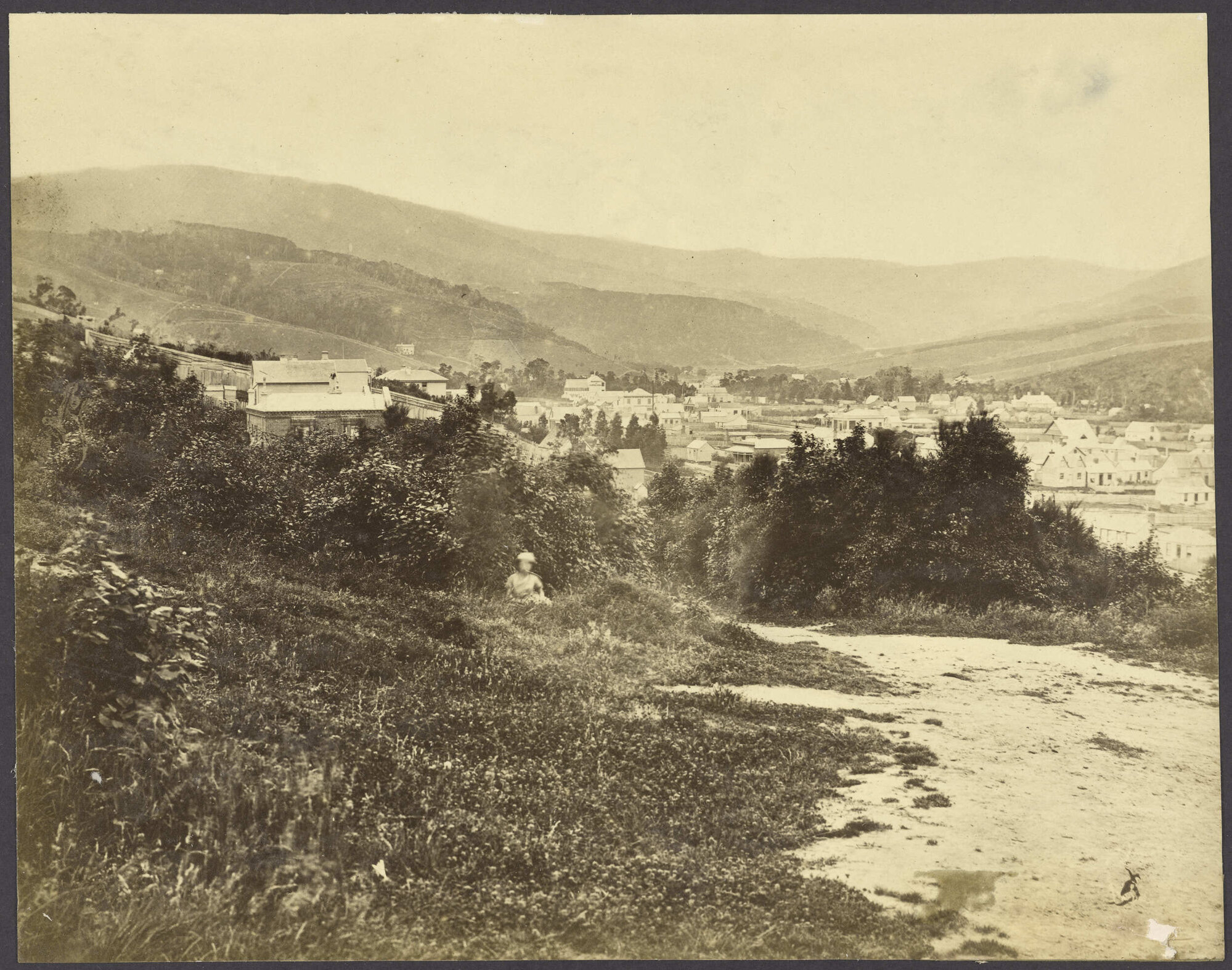 North Dunedin