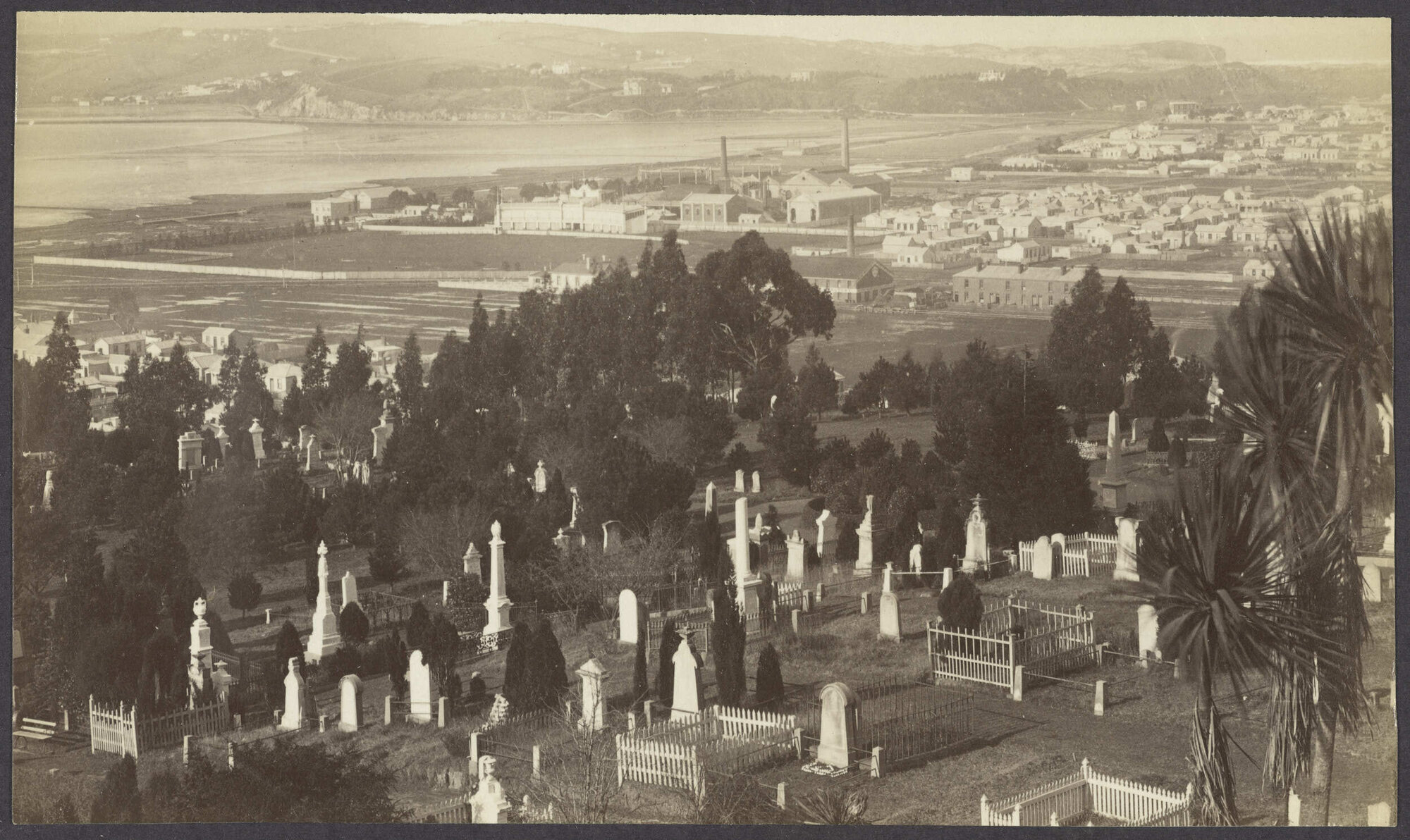 View over the Southern Cemetery