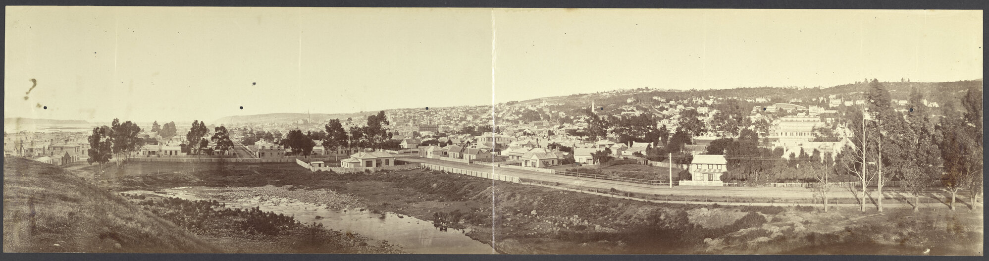 Panorama of Dunedin from Tanna Hill