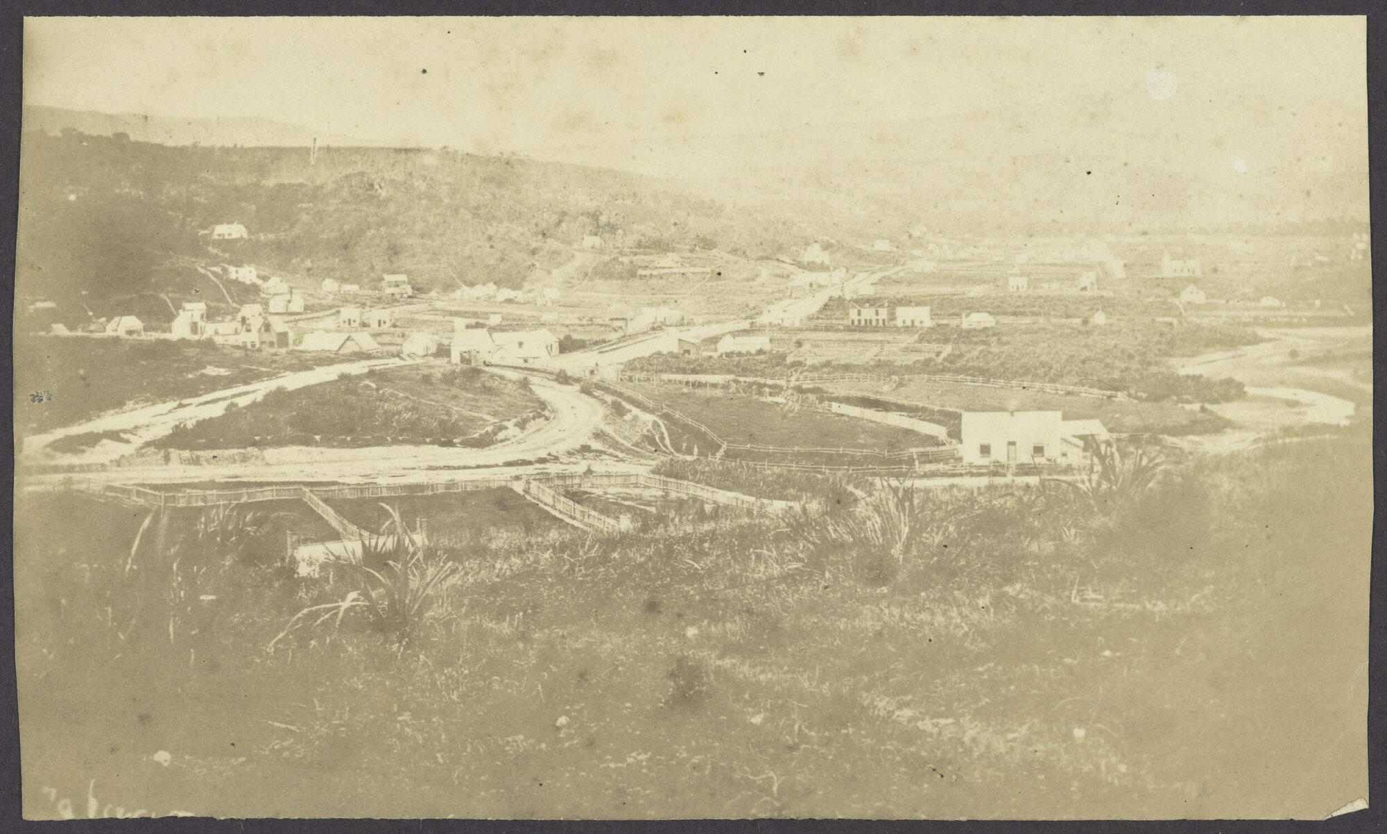 Octagon and North Dunedin