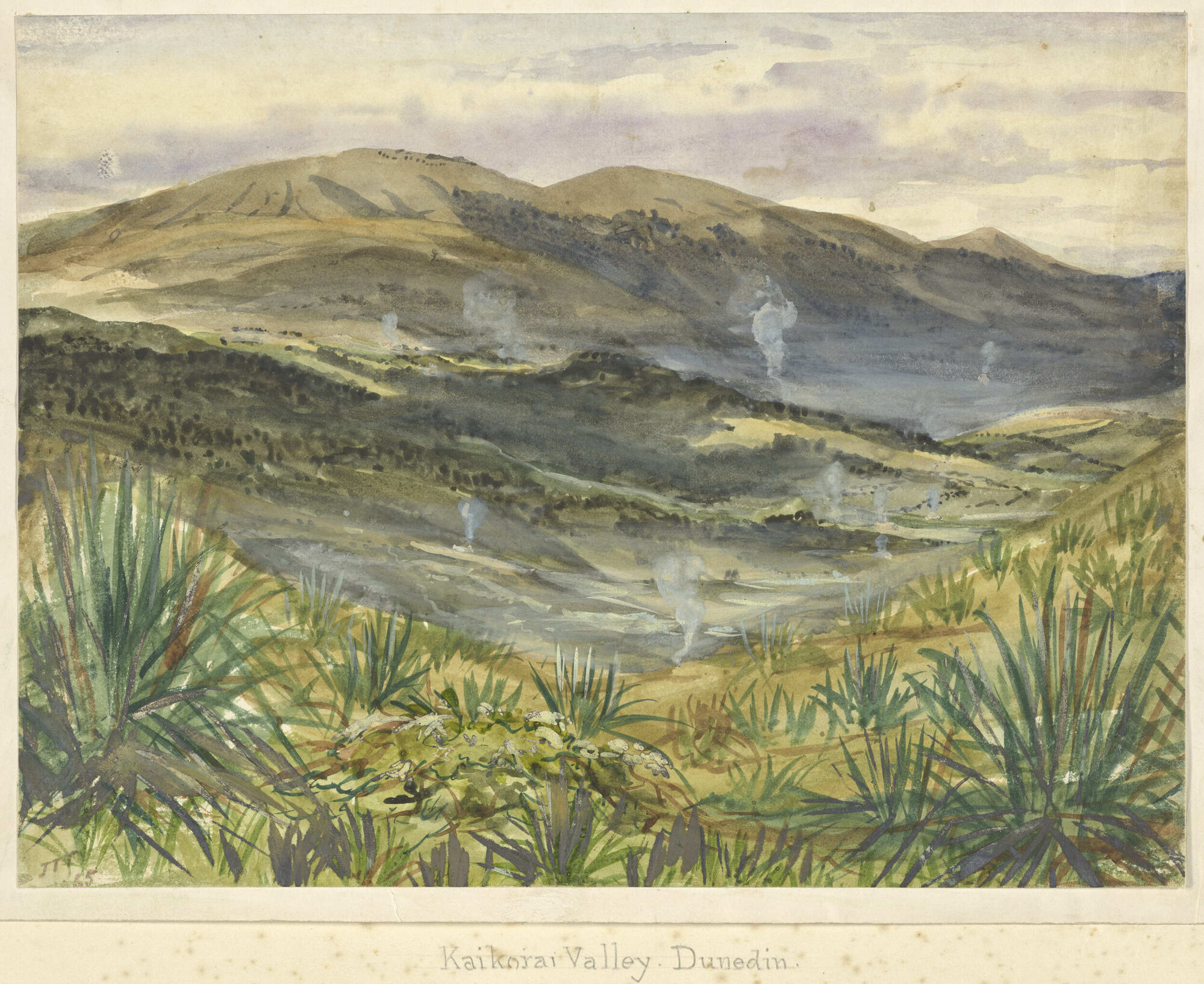 Kaikorai Valley, Dunedin