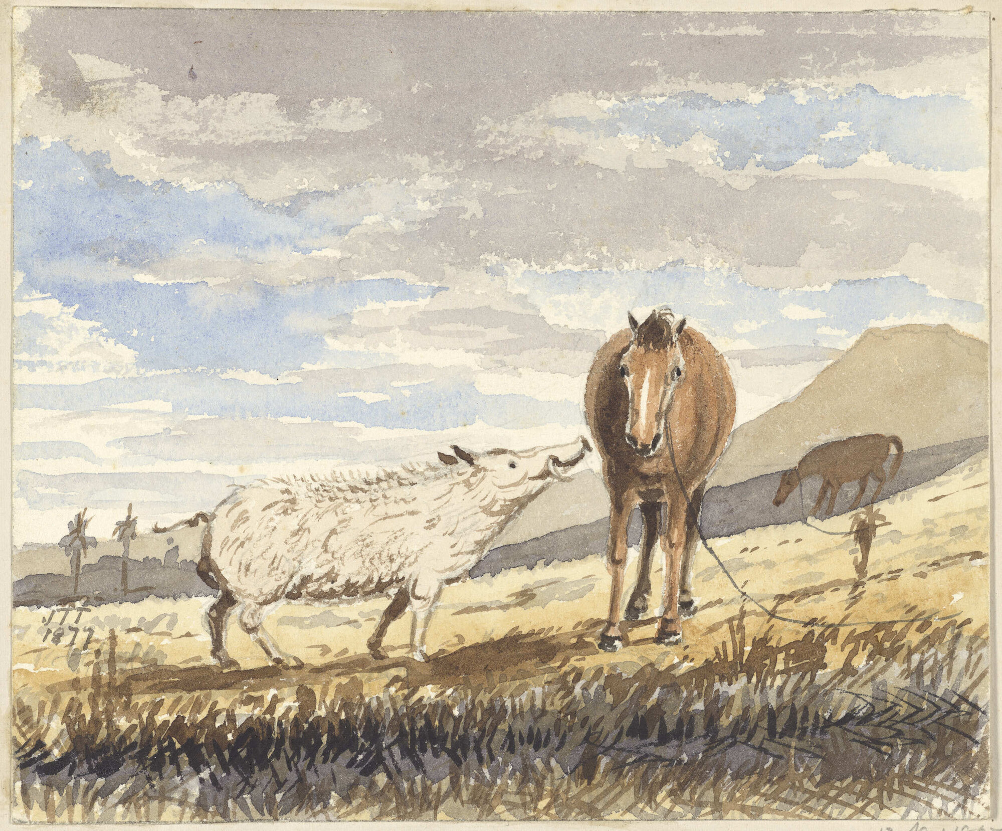Making a new acquaintance, Higlay Hill, Otago. 13 Nov 1857