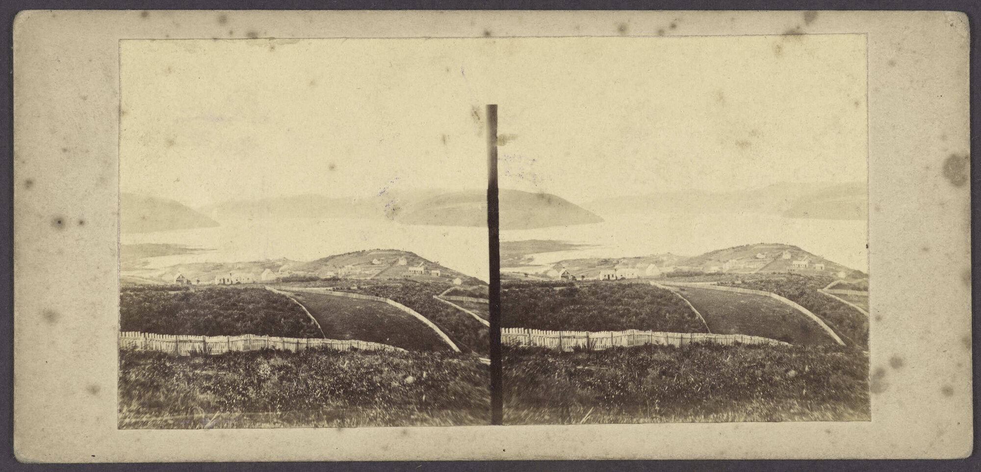 Dunedin