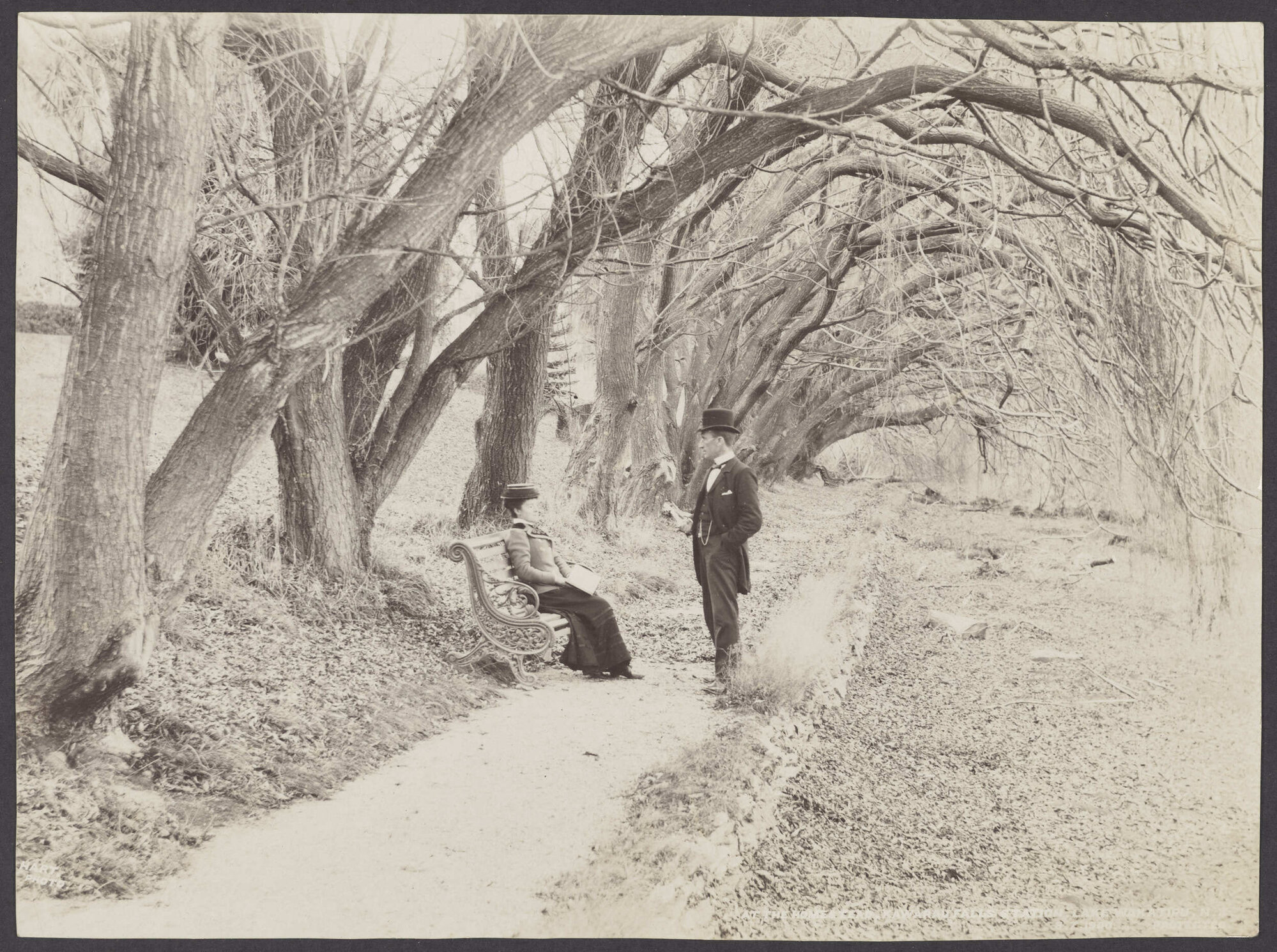 At the Homestead, Kawarau Falls Station, Lake Wakatipu, N.Z.