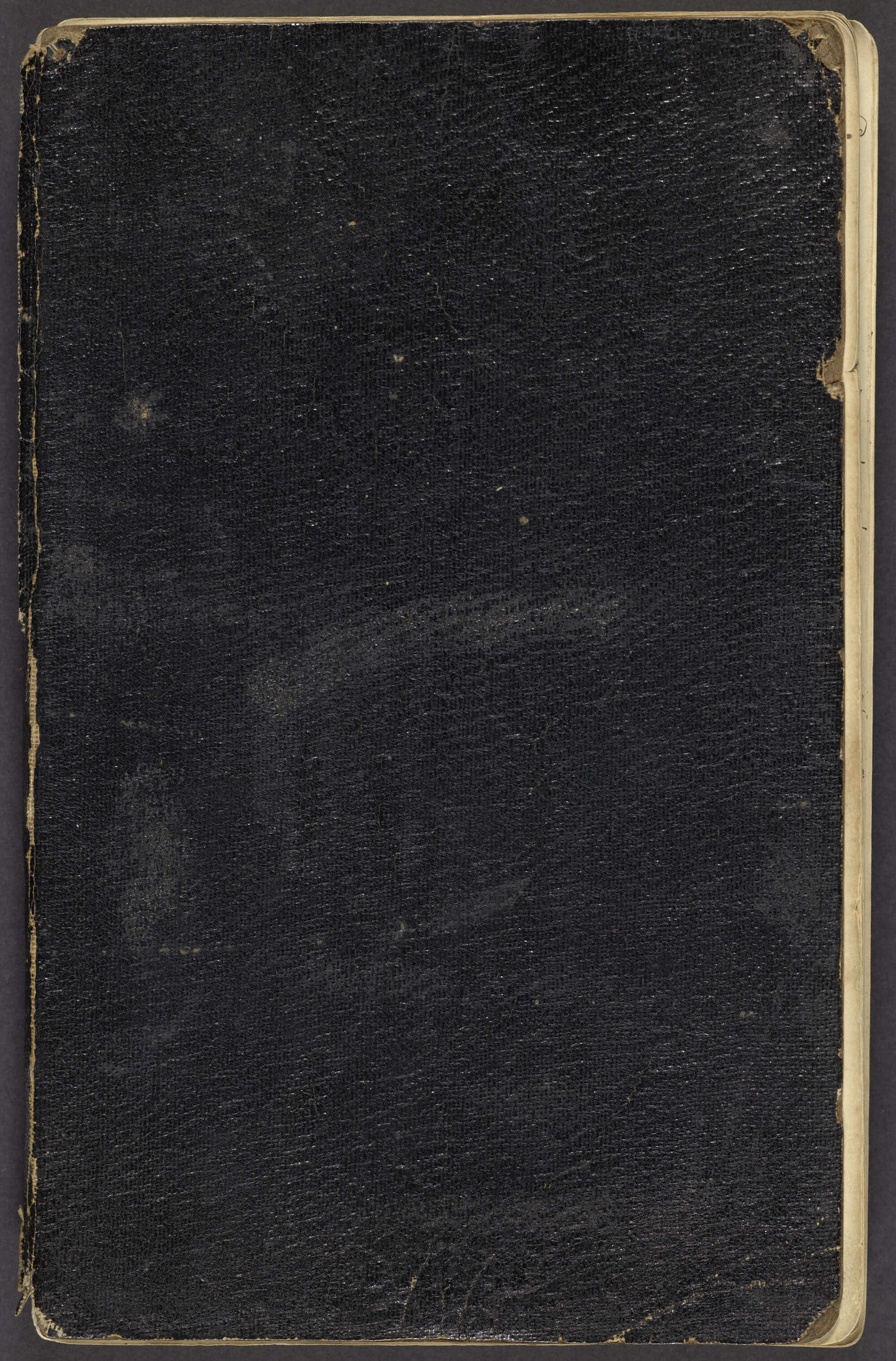 Diary, 'A months stay among the mountains of Otago'