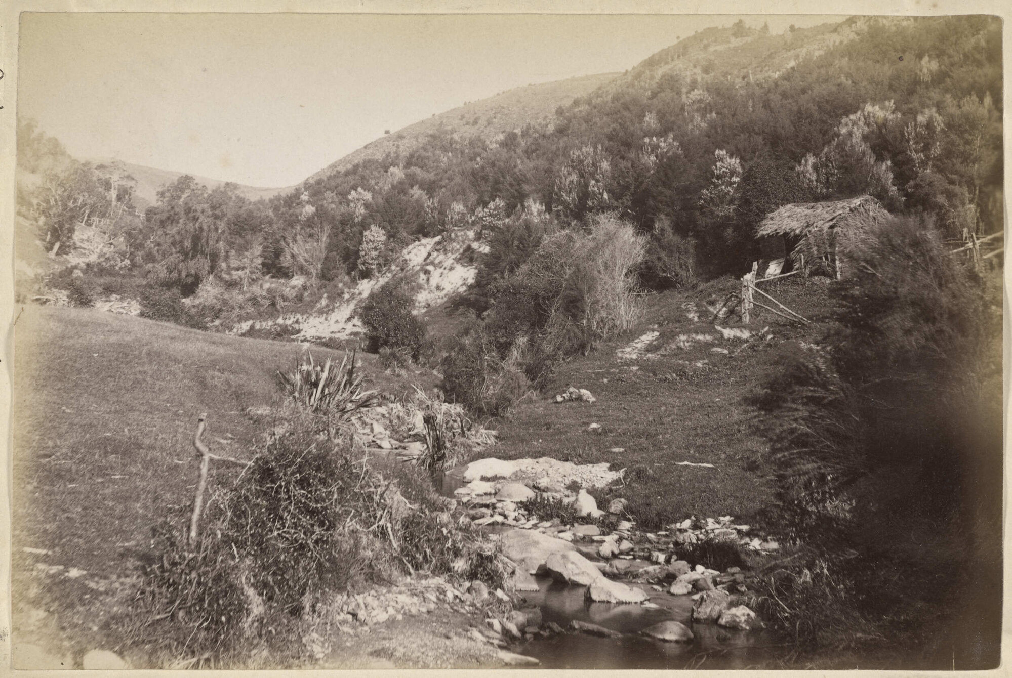 Ruined outhouse, Macraes Gully