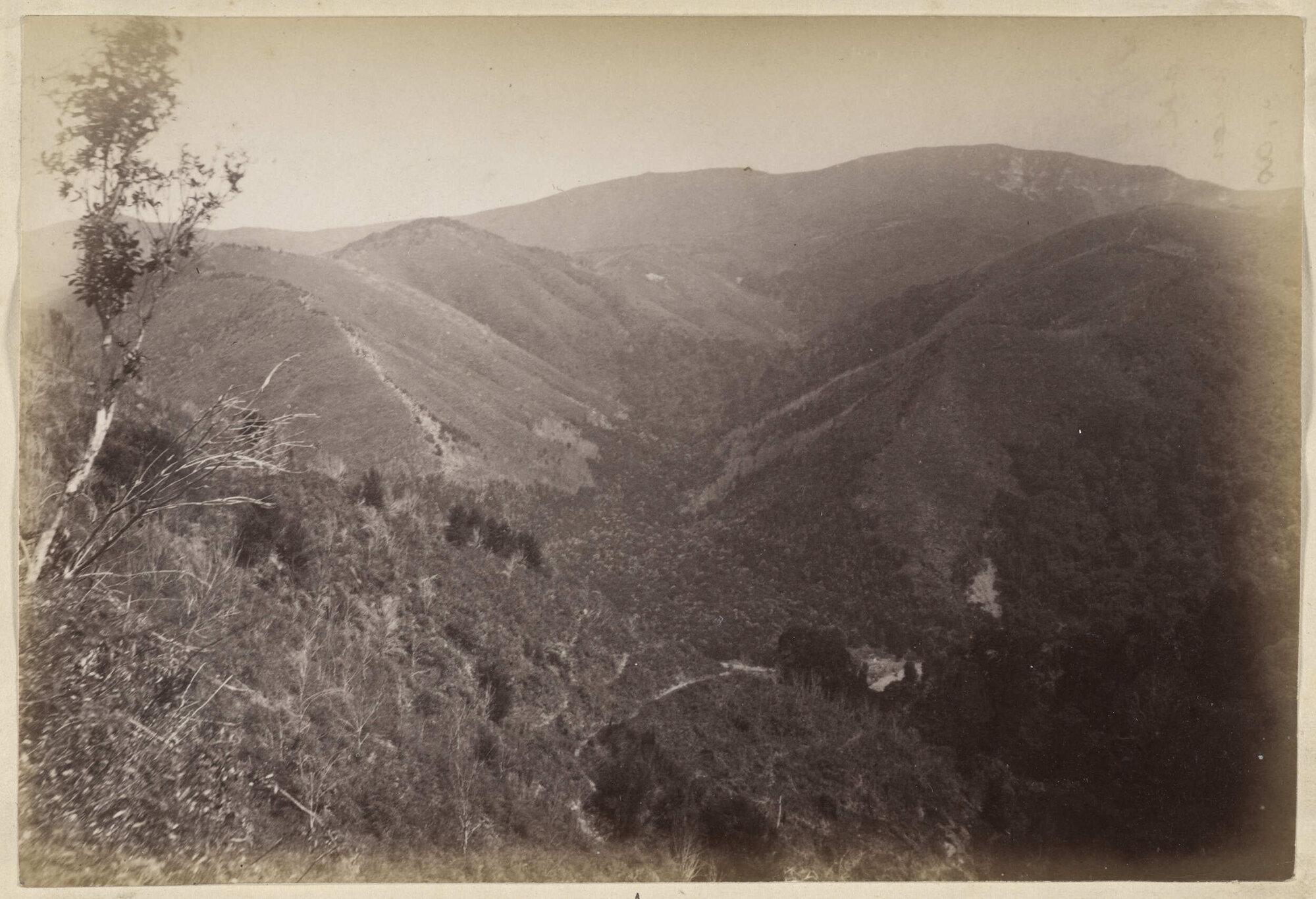 The Silverstream Valley