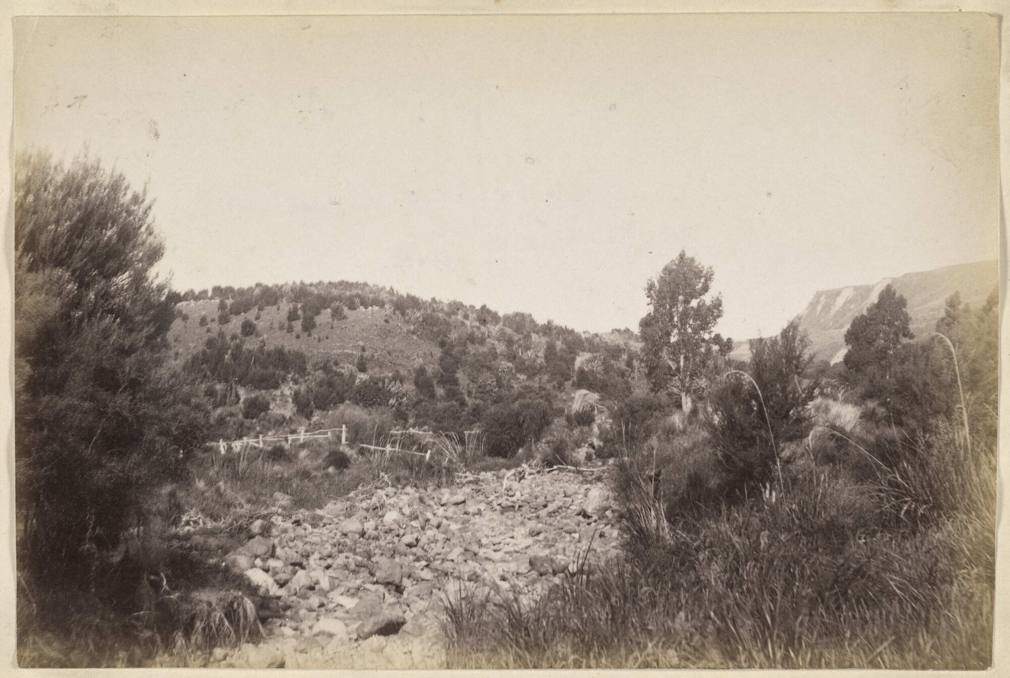 A corner on Whare Flat