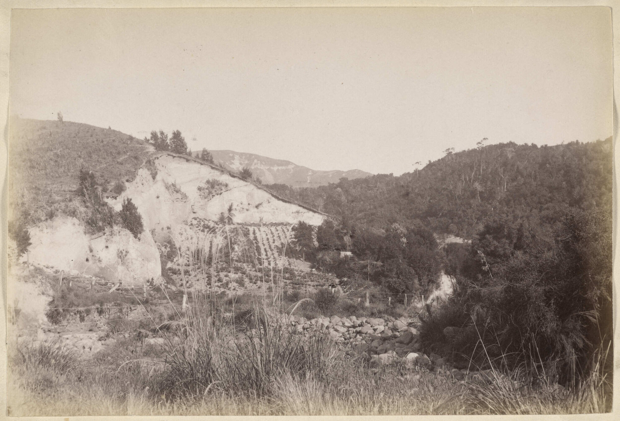 On the Banks of Camerons Creek