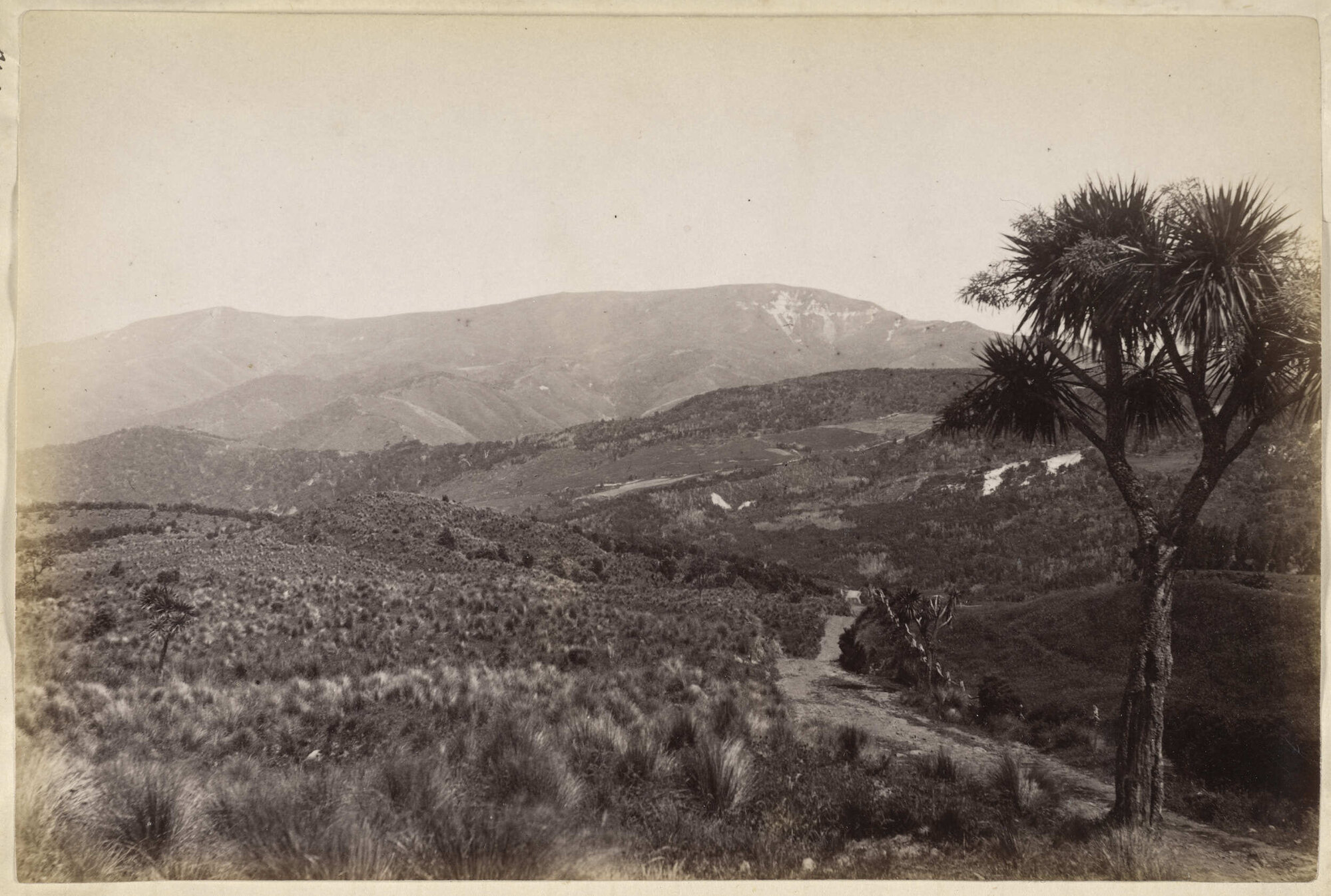 The Chalky Cliff Range from Whare Flat