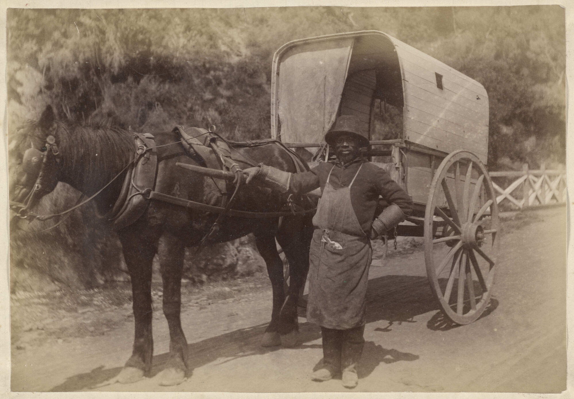 A colonial turn out (seen on the road near town)