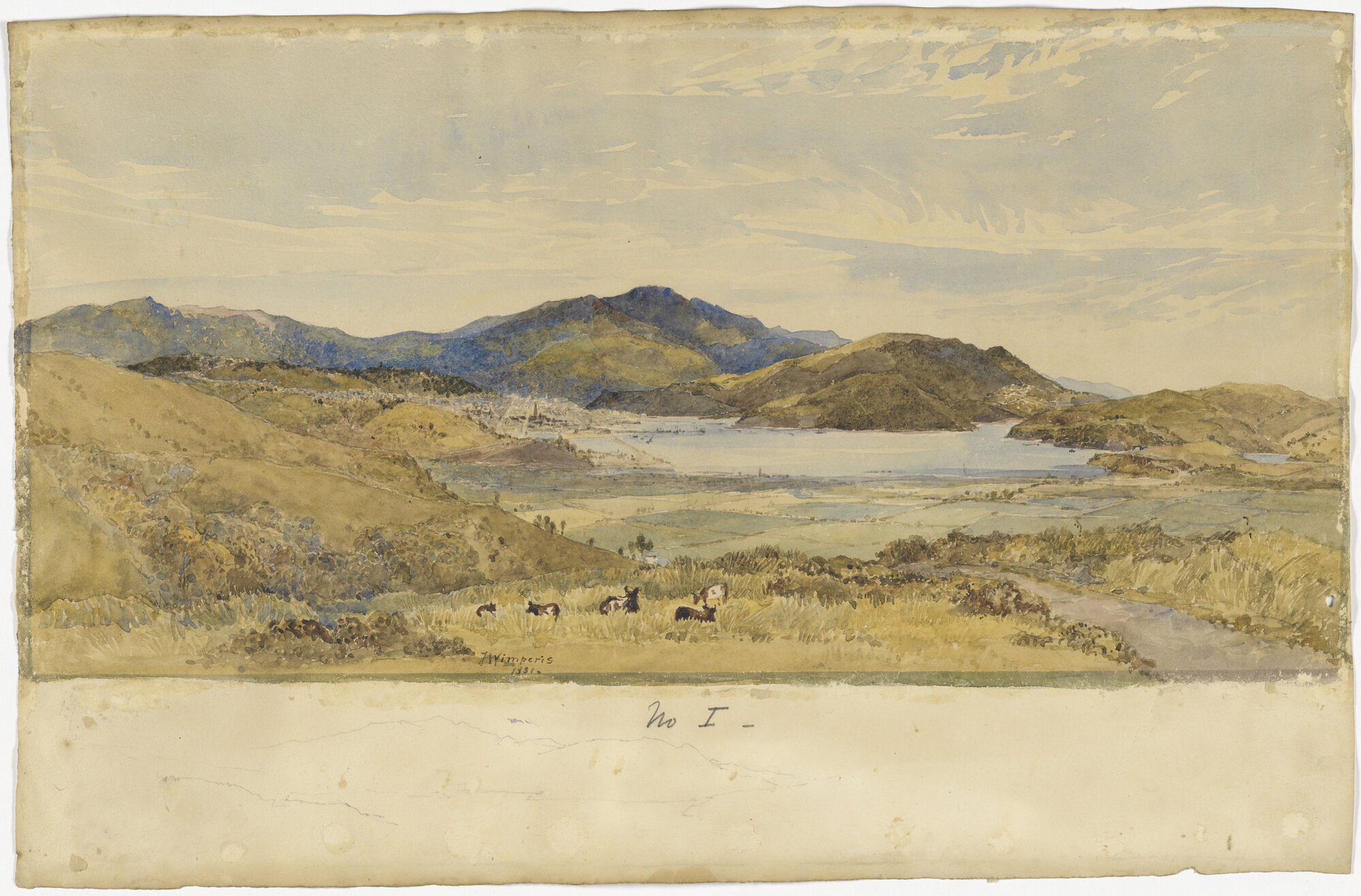 [Dunedin from hill slope above Forbury Road]
