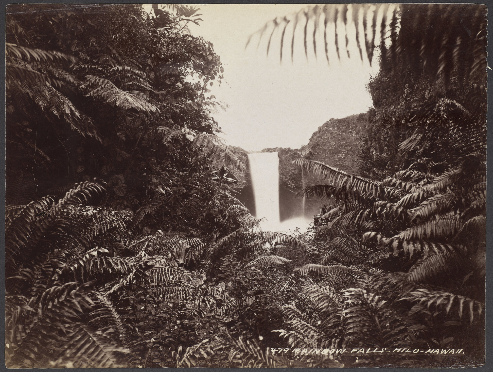 Rainbow Falls, Hilo, Hawaii