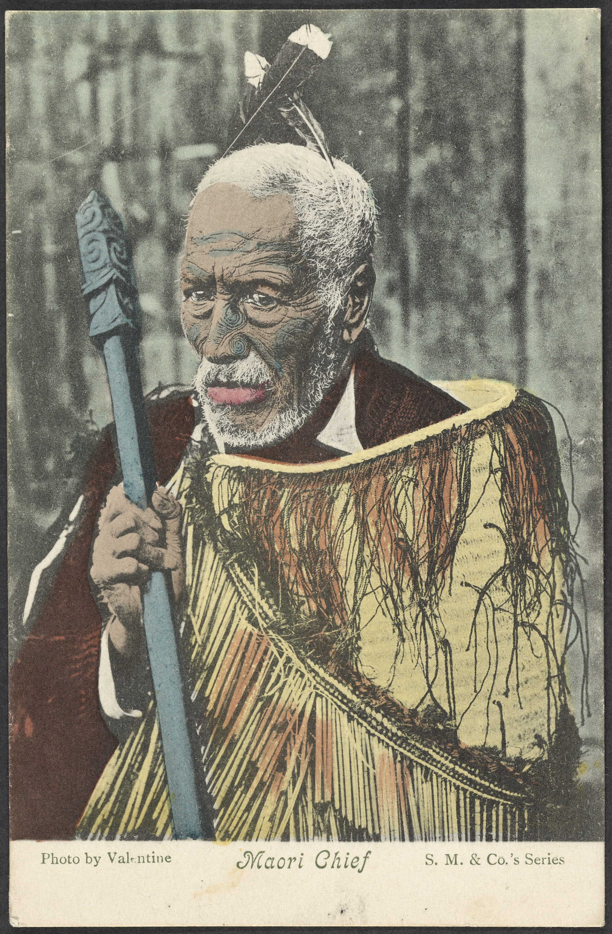 Maori Chief