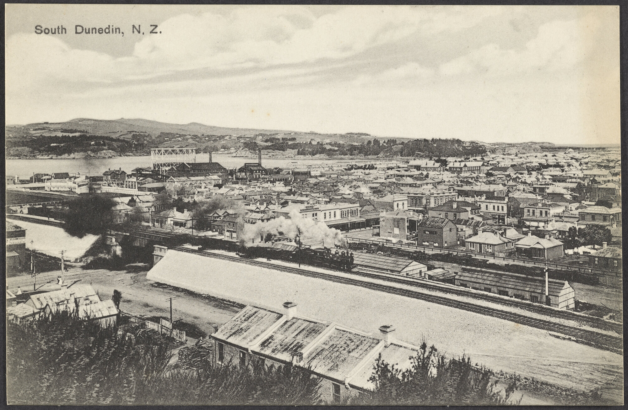 South Dunedin, N.Z.