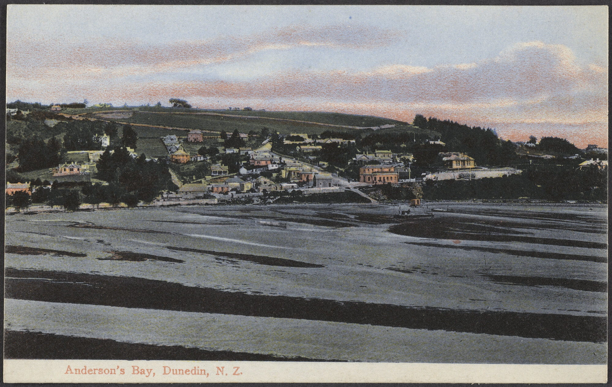 Anderson's Bay, Dunedin, N.Z.