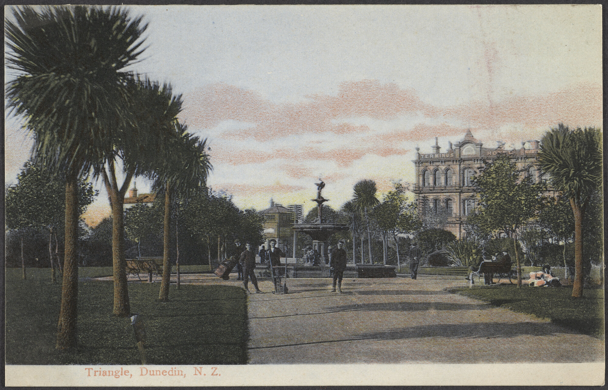 Triangle, Dunedin, N.Z.