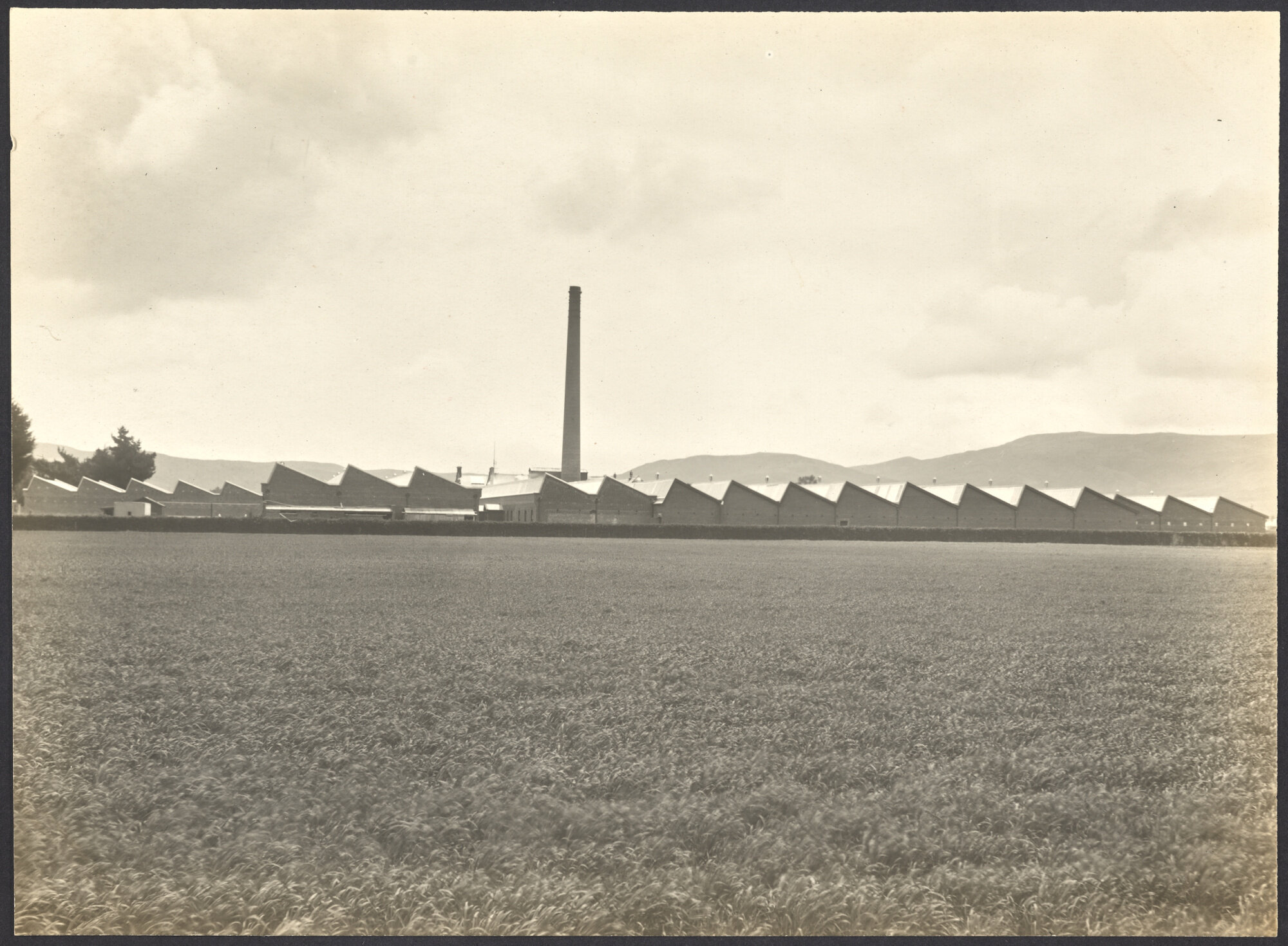 Factory buildings with field of grain in foreground