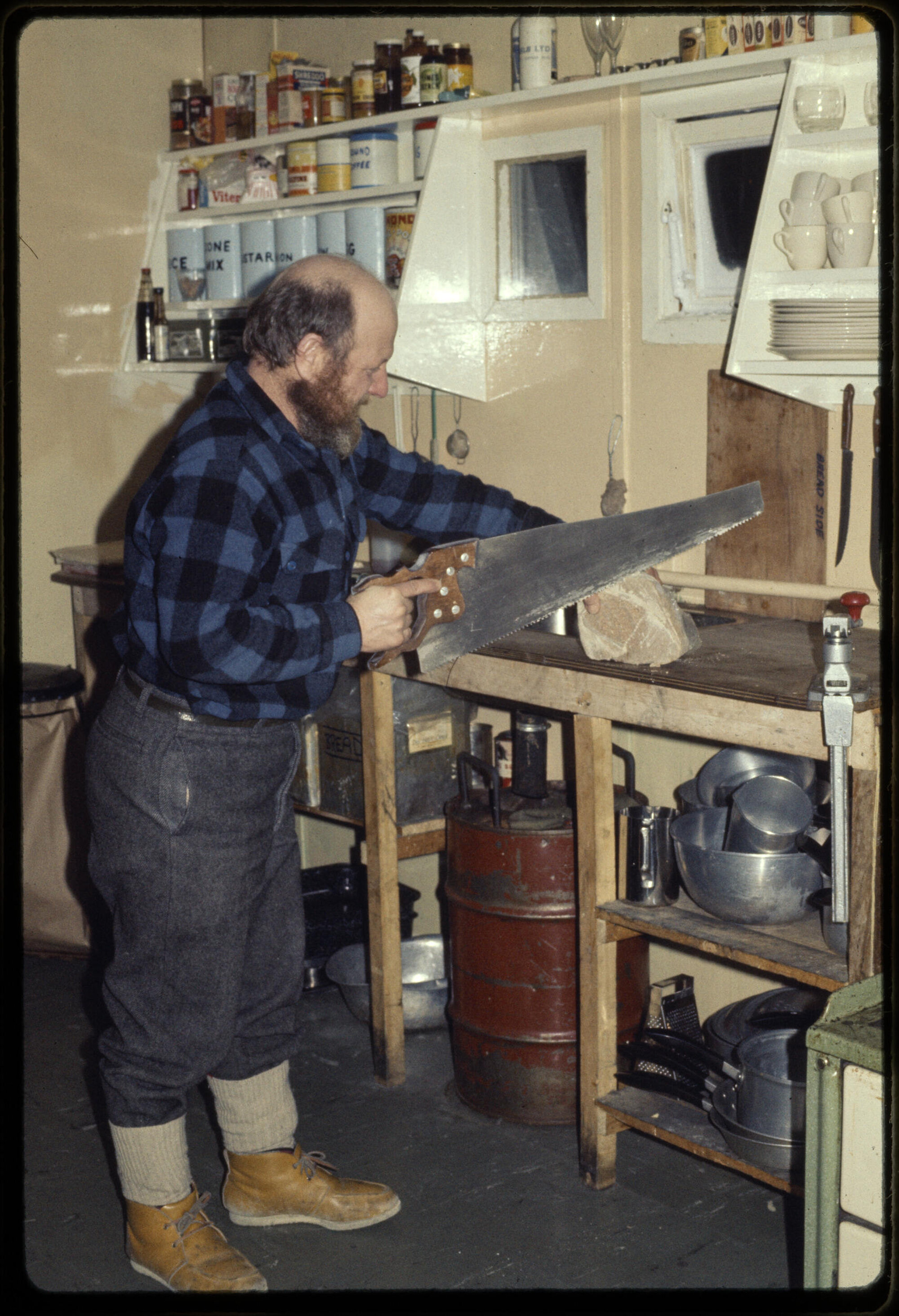 Lowe sawing frozen meat