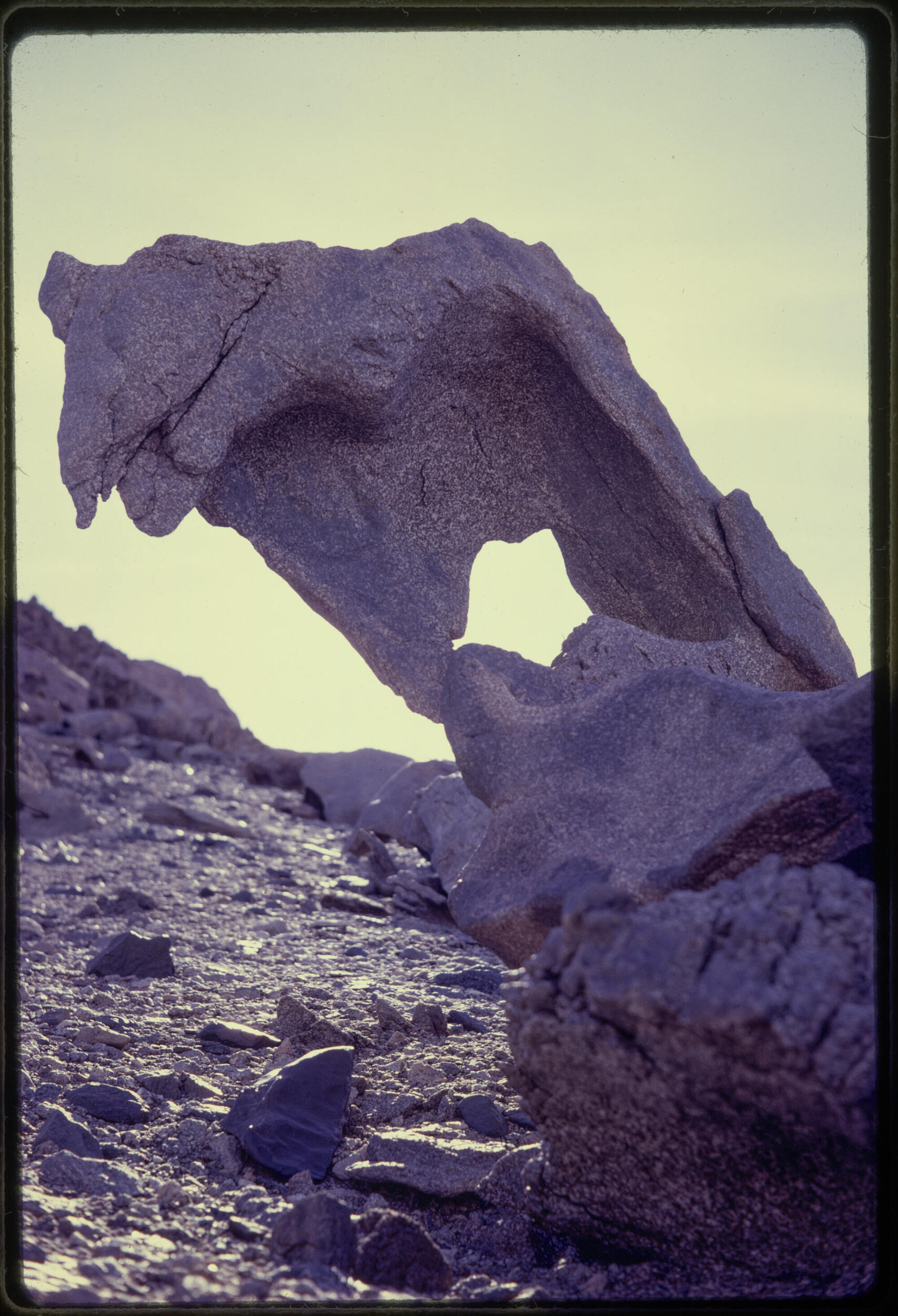 Sculptures formed by weather and wind-driven sand