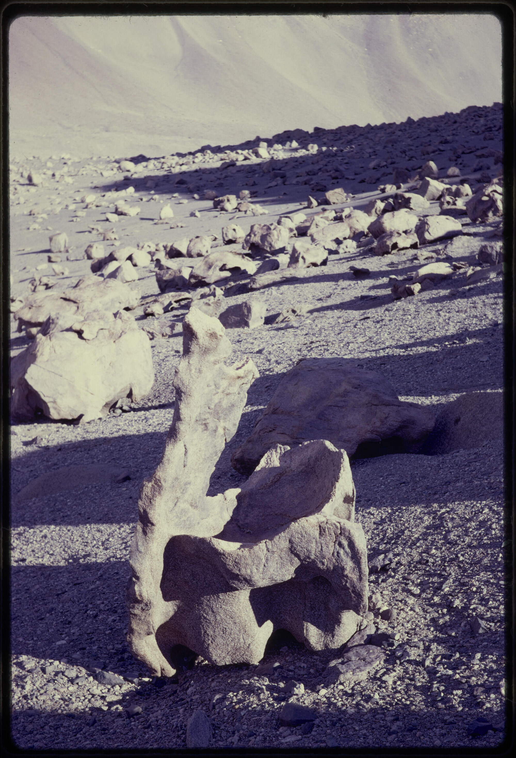 Sculptures formed by weather and wind-driven sand