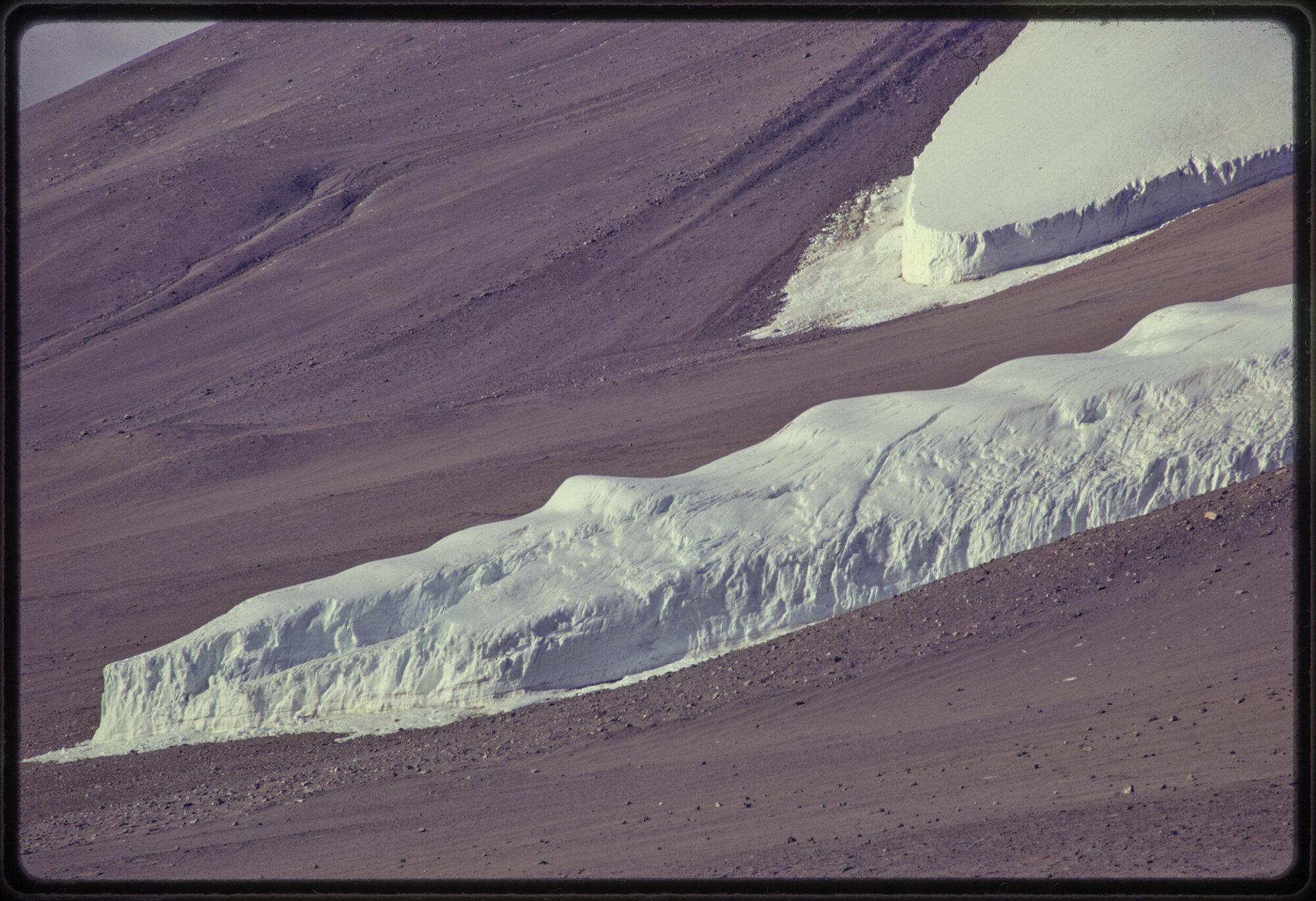 The Meserve alpine glacier