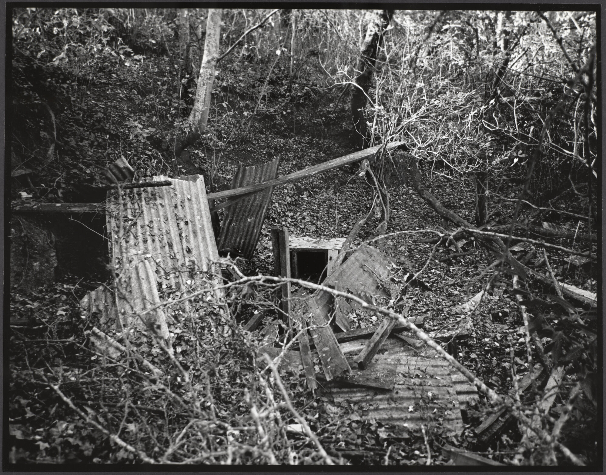 Sad remains of Frame home, Willowglen, Oamaru