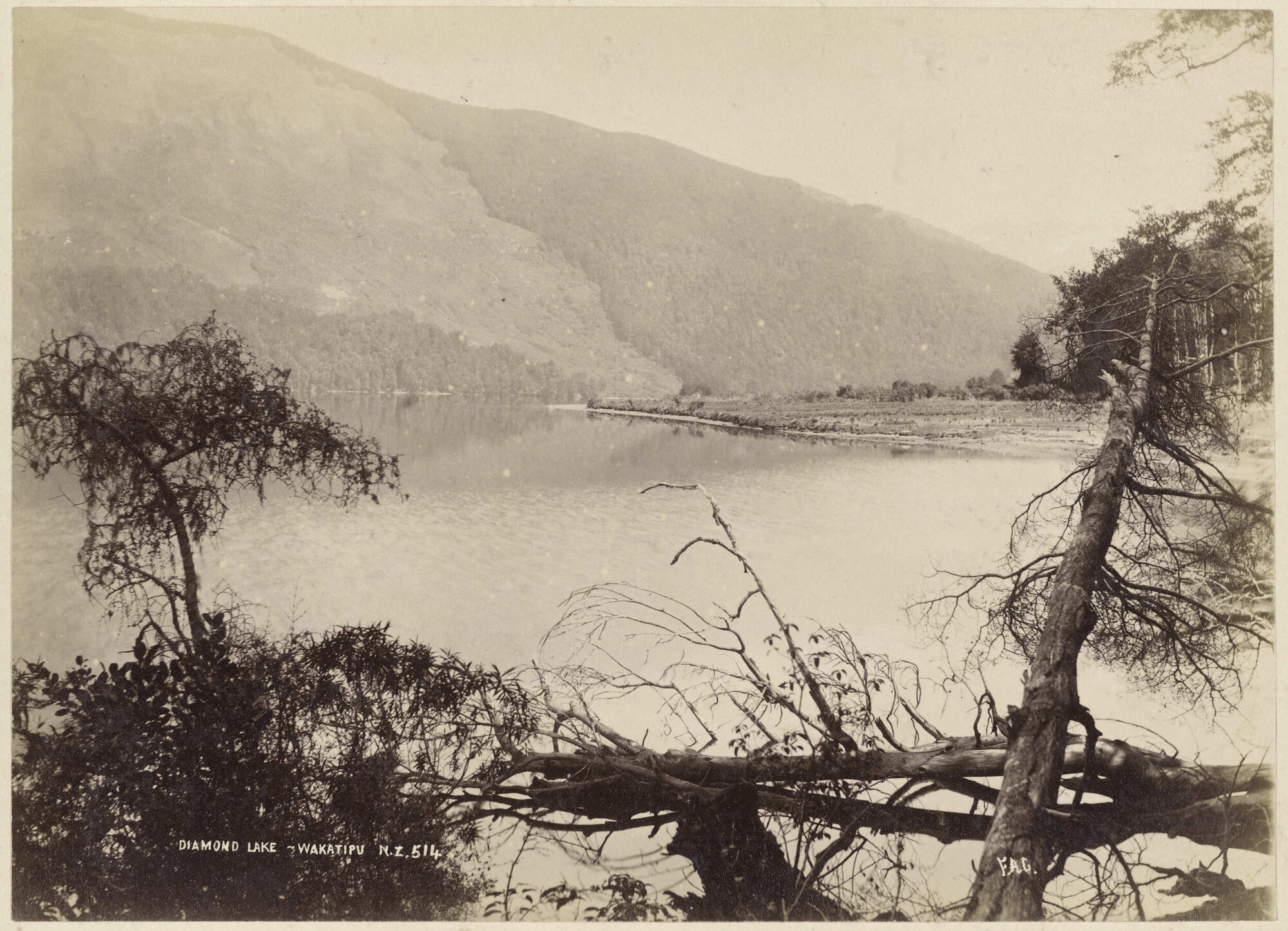 Diamond Lake, Wakatipu N.Z.