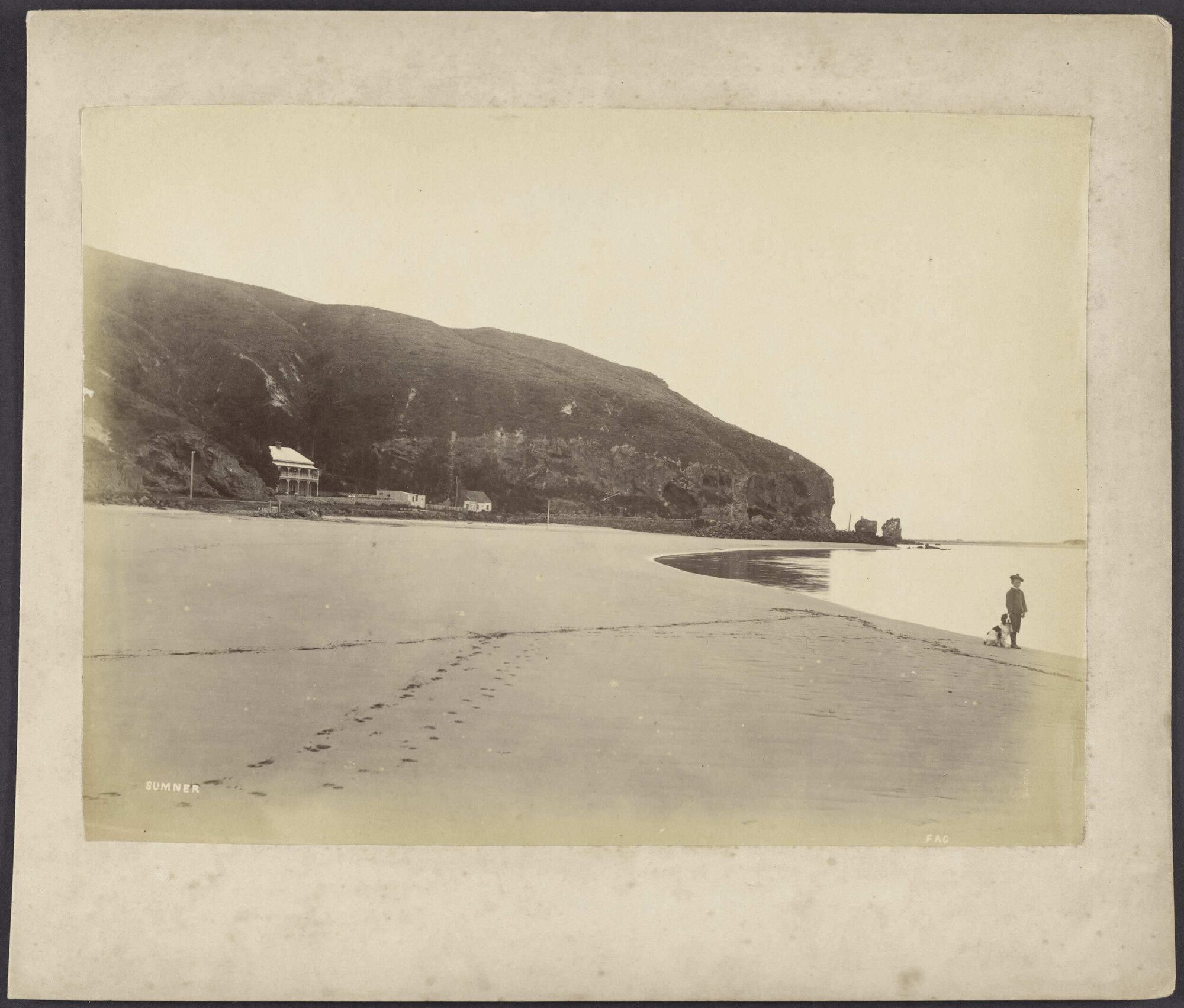 Sumner