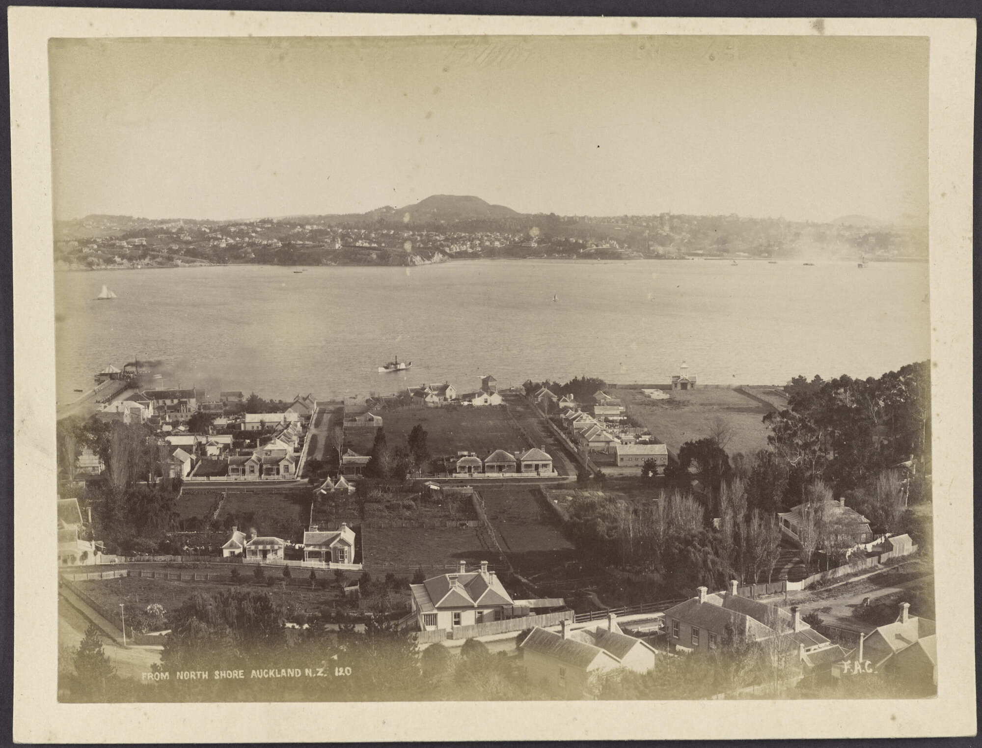 From North Shore, Auckland N.Z.