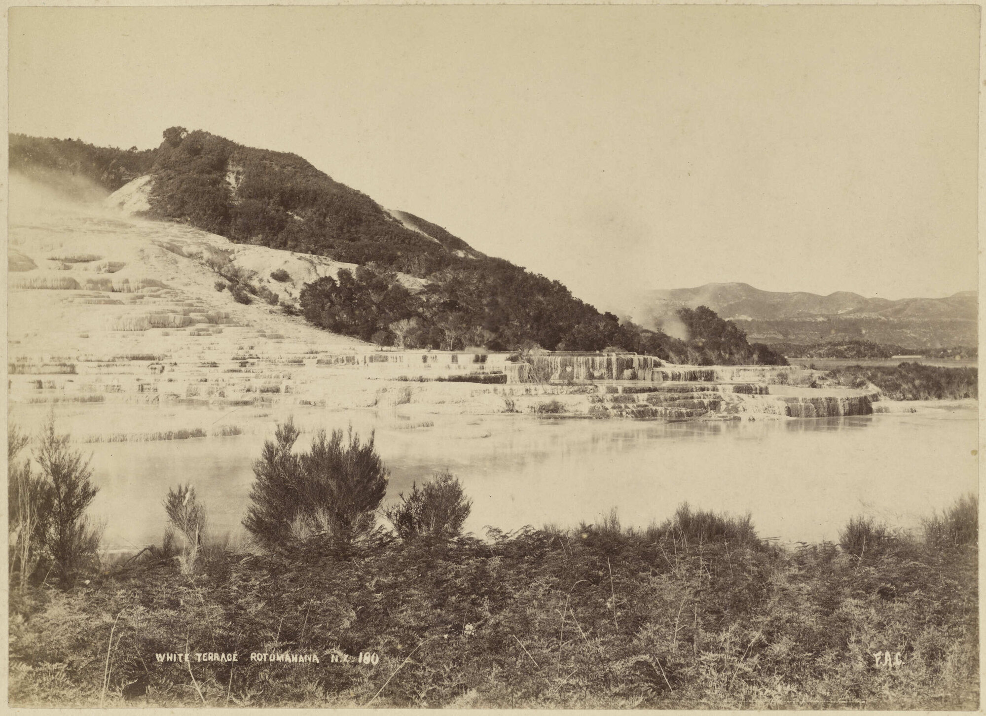 White Terrace, Rotomahana N.Z.