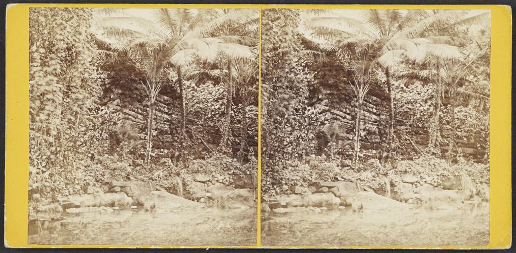 Ancient Ruins near Metaleine Harbour, Bornabie [Pohnpei], Caroline Group