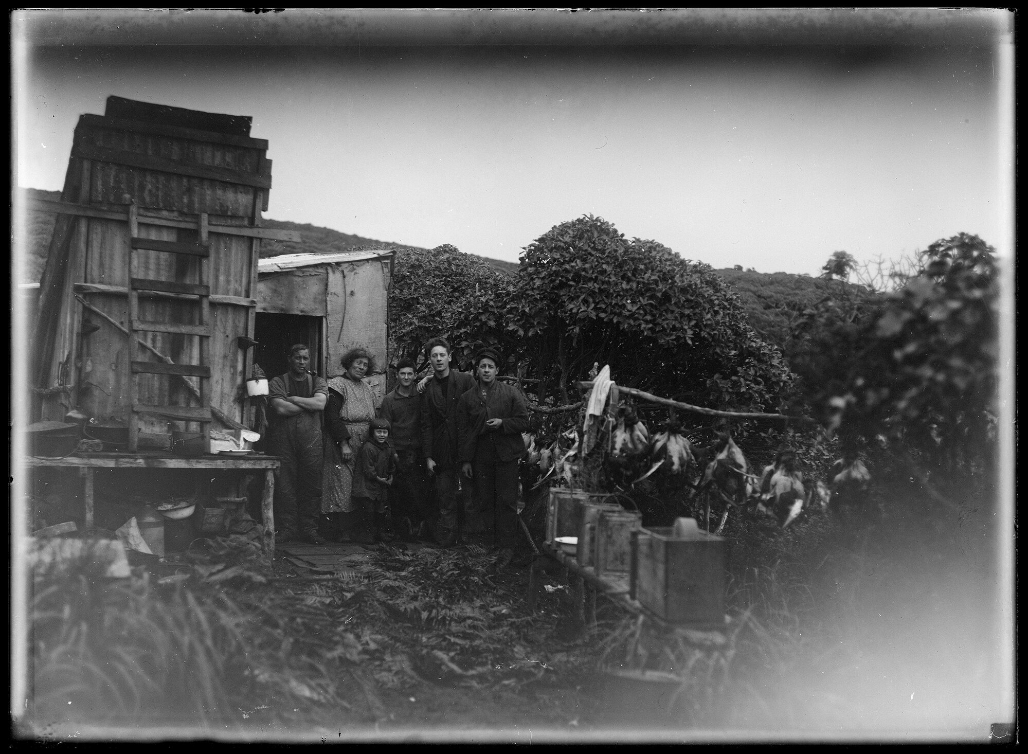 At a mutton-birders' camp
