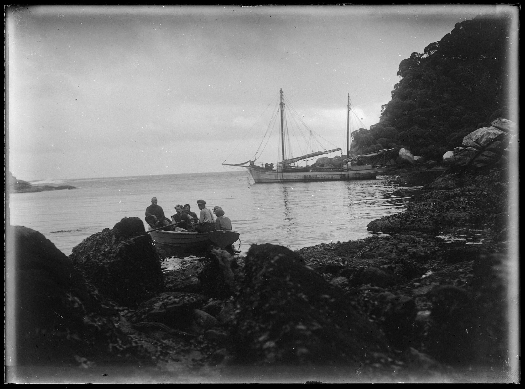 The Waterlily in Murder Cove