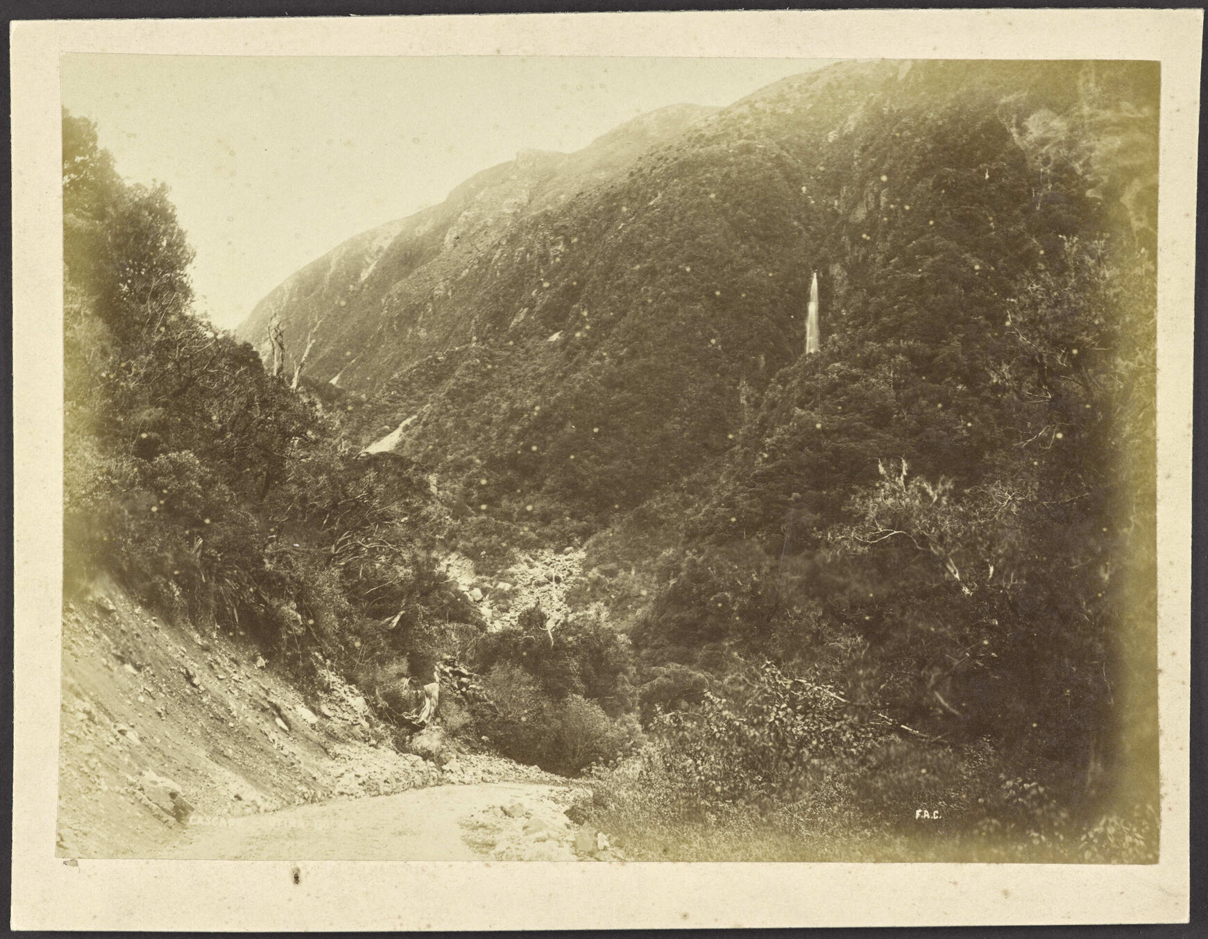 Cascade, Otira Gorge