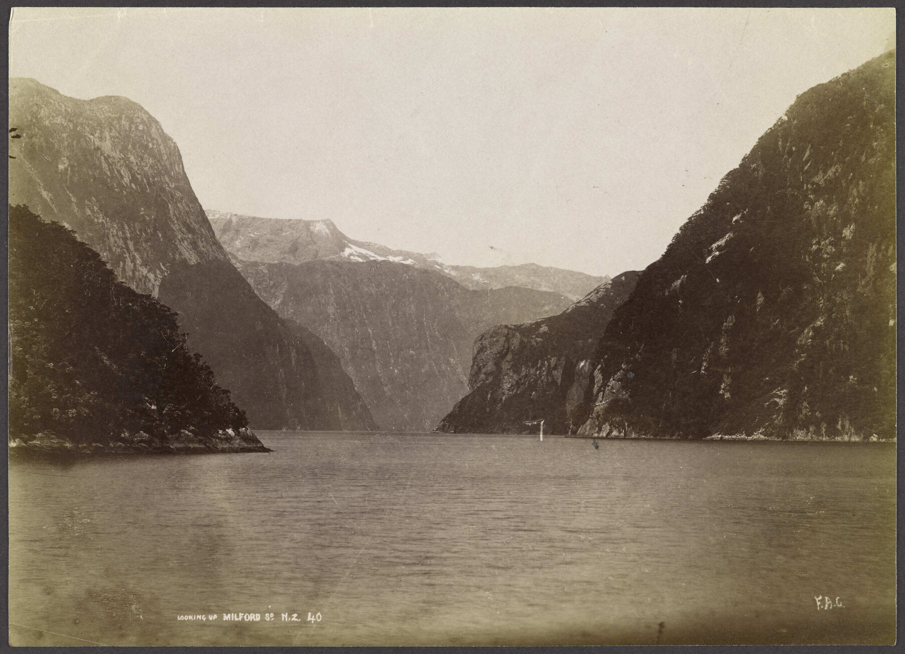 Looking up Milford Sound N.Z.